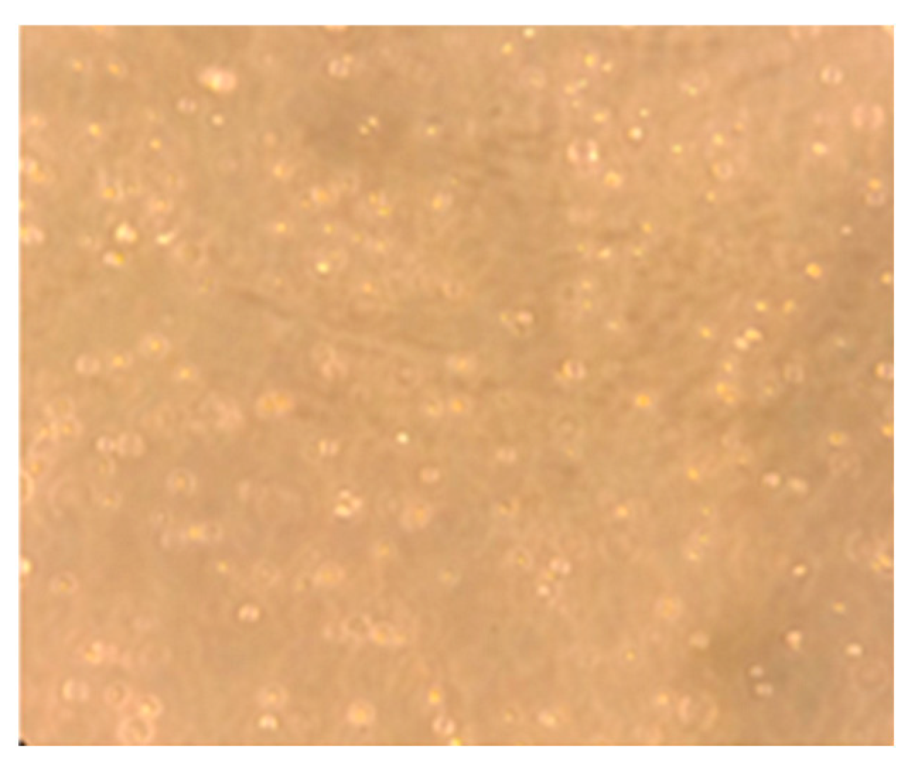 Pharmaceuticals 18 01001 g010