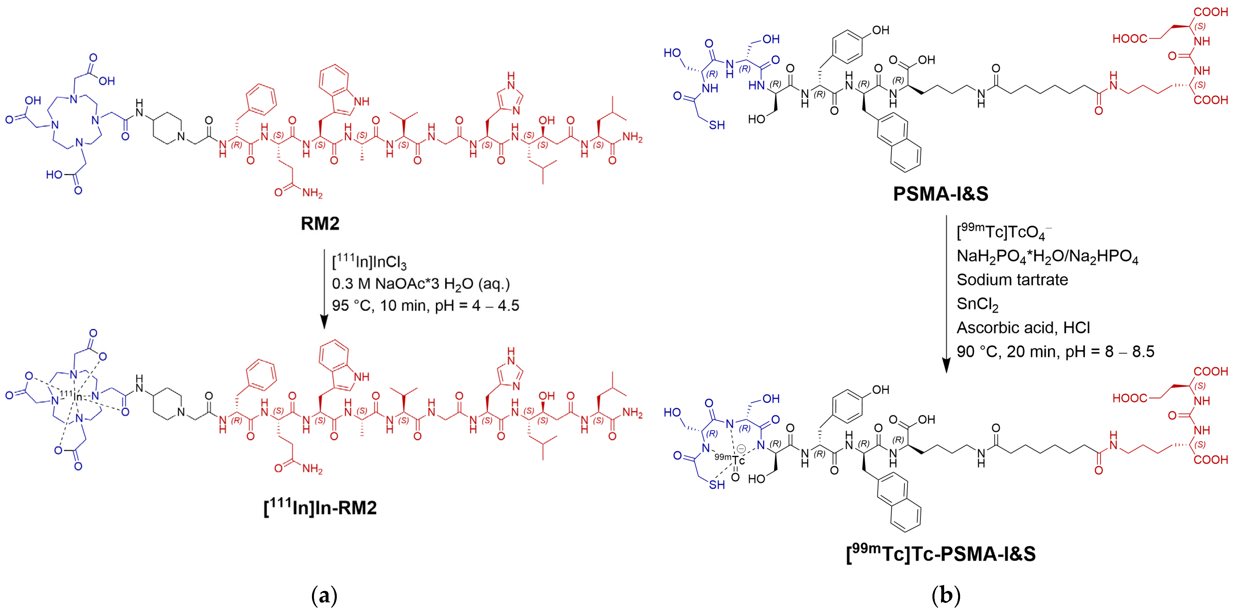 Pharmaceuticals 18 01002 g002 Pharmaceuticals 18 01002 g002