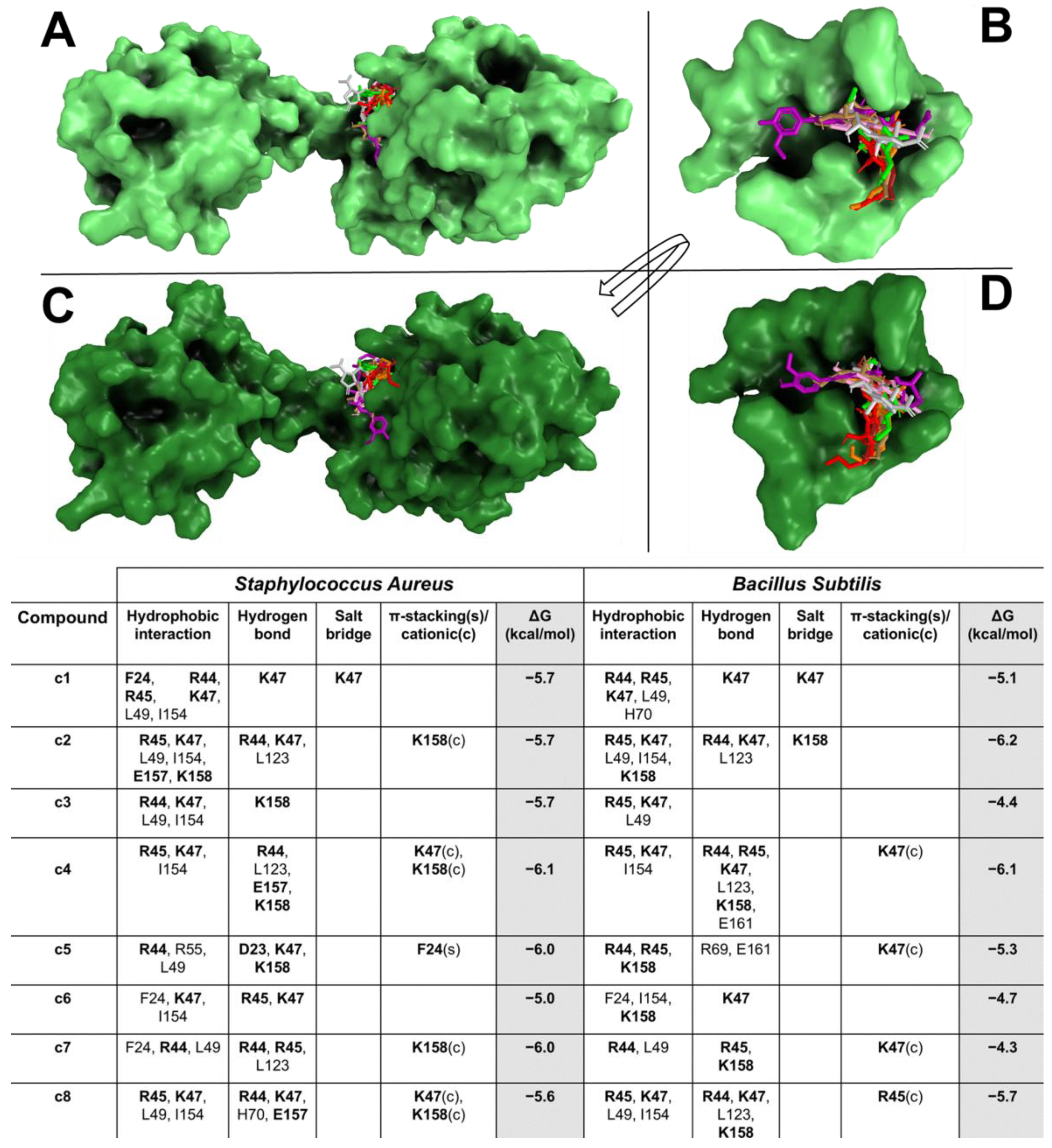 Pharmaceuticals 18 01003 g001