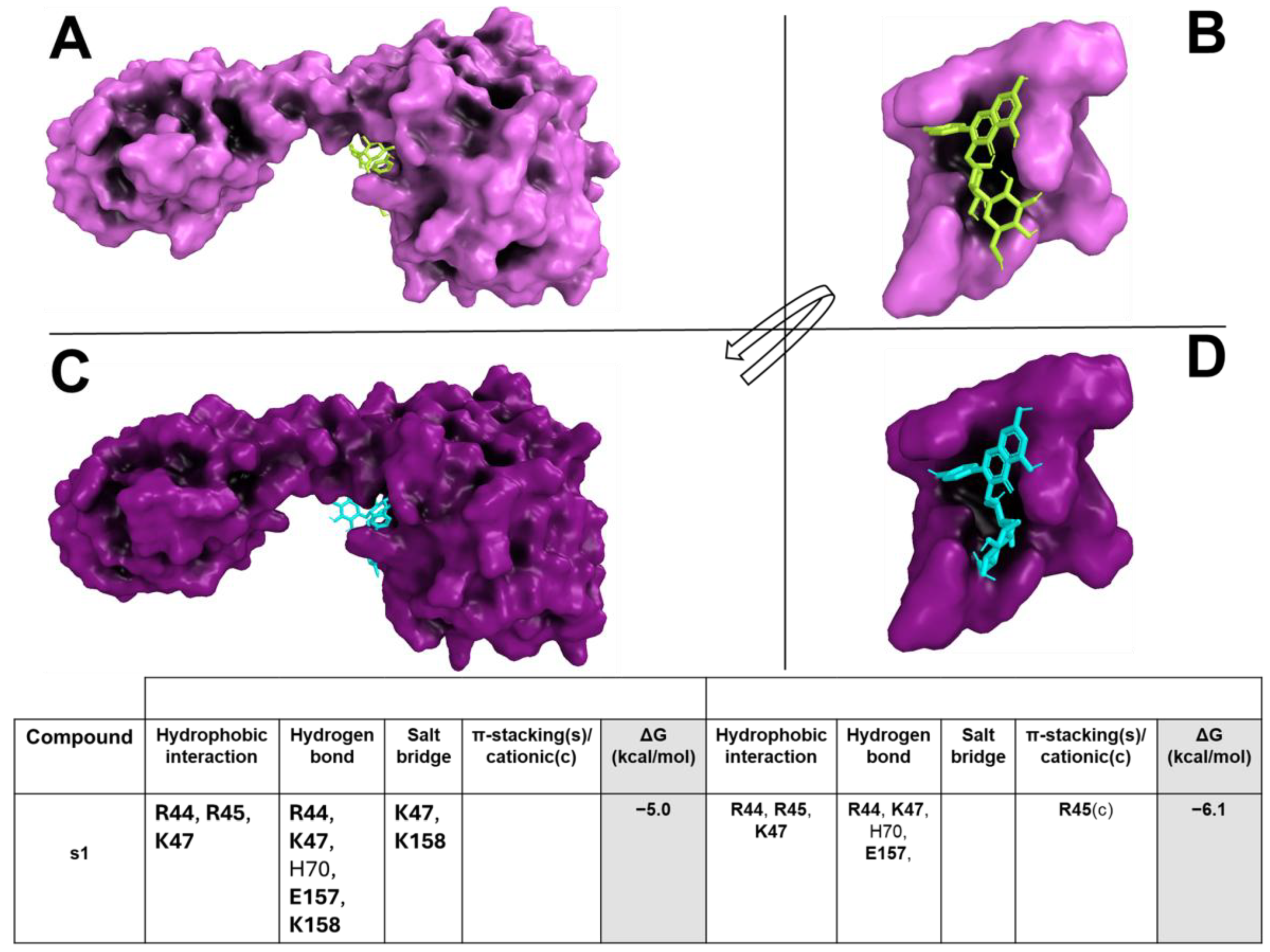 Pharmaceuticals 18 01003 g002