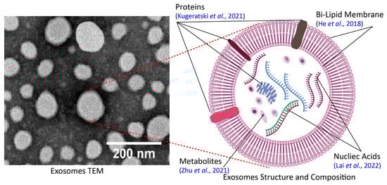 Pharmaceuticals 18 01005 g002