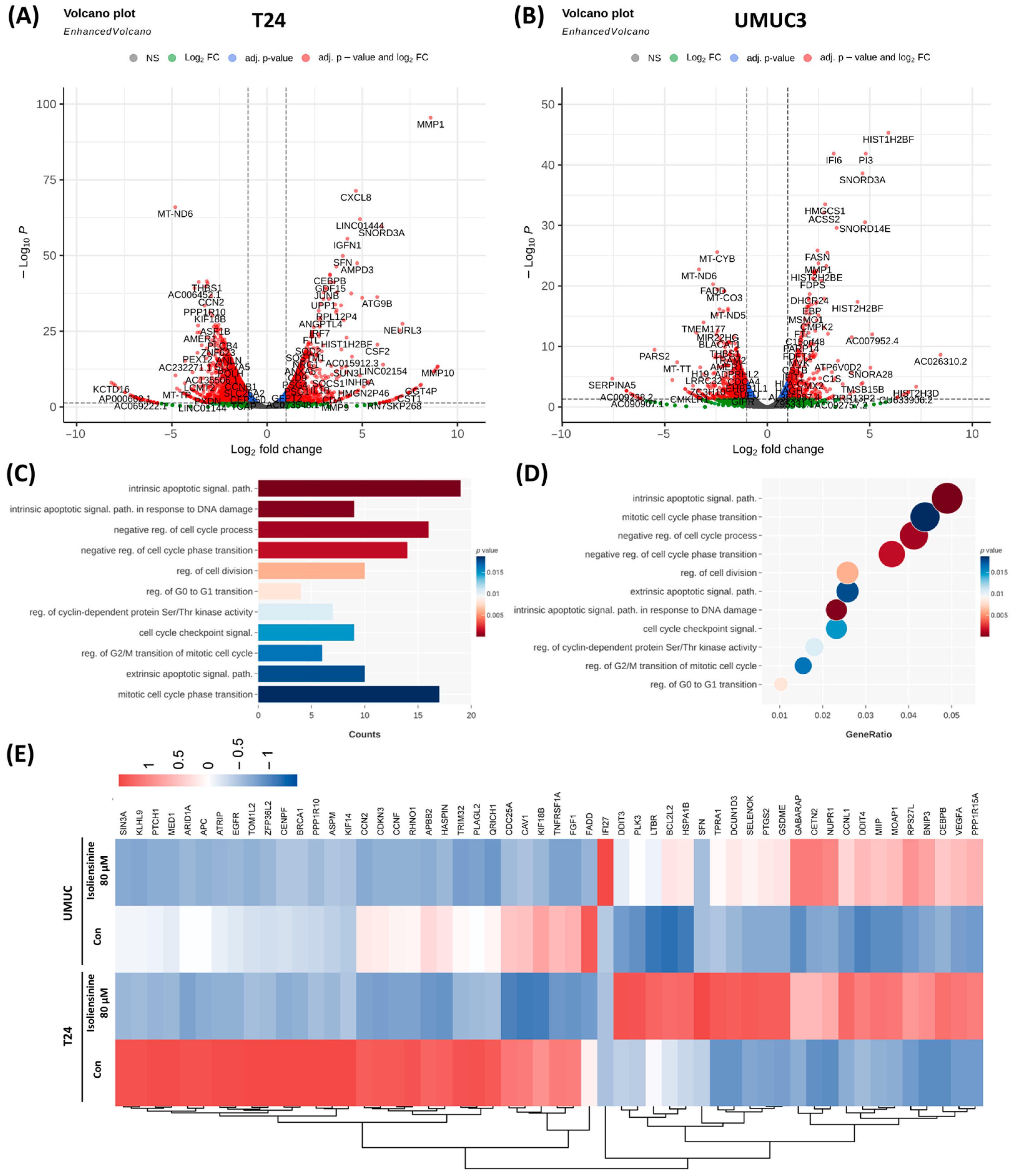 Pharmaceuticals 18 01008 g002