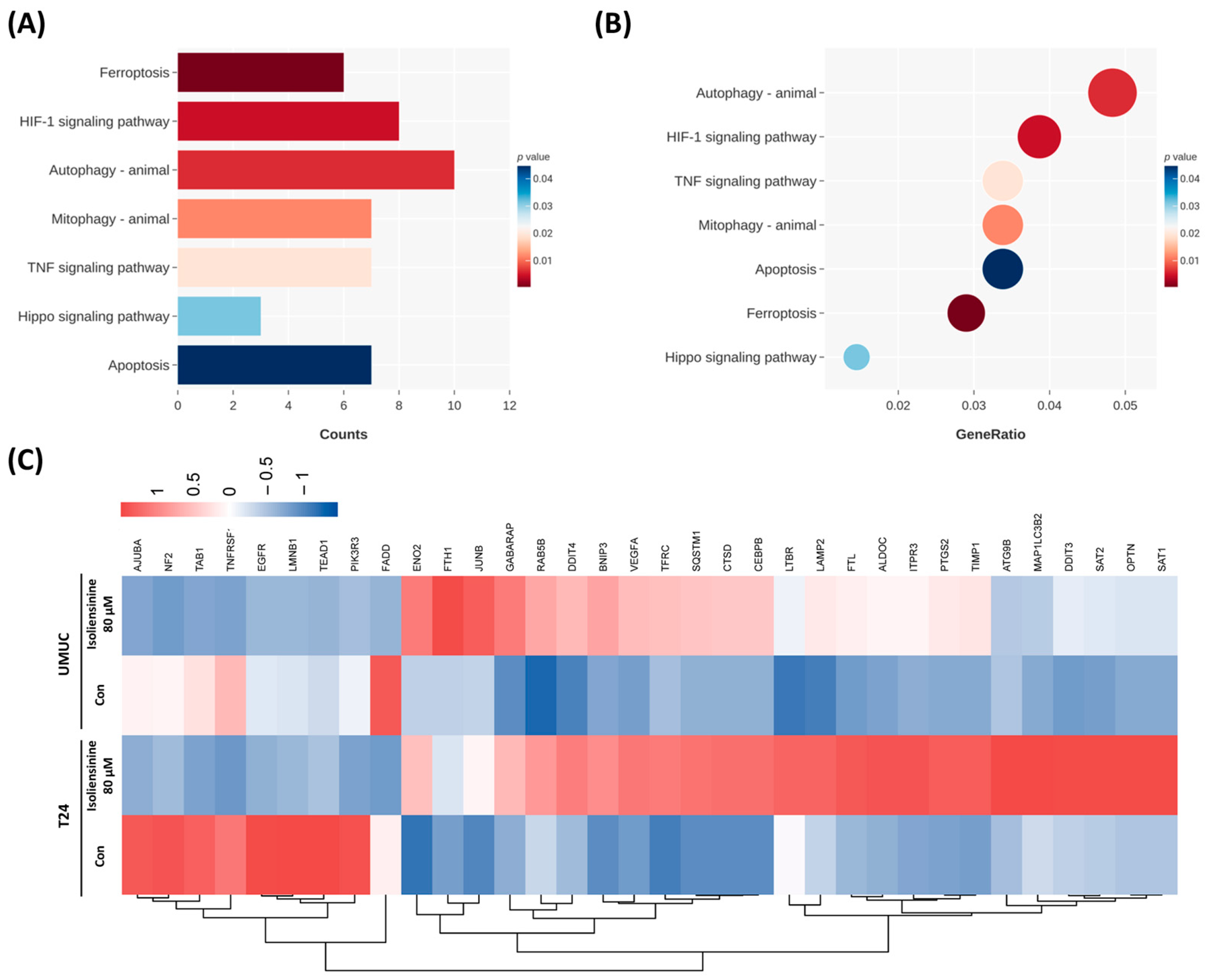 Pharmaceuticals 18 01008 g003
