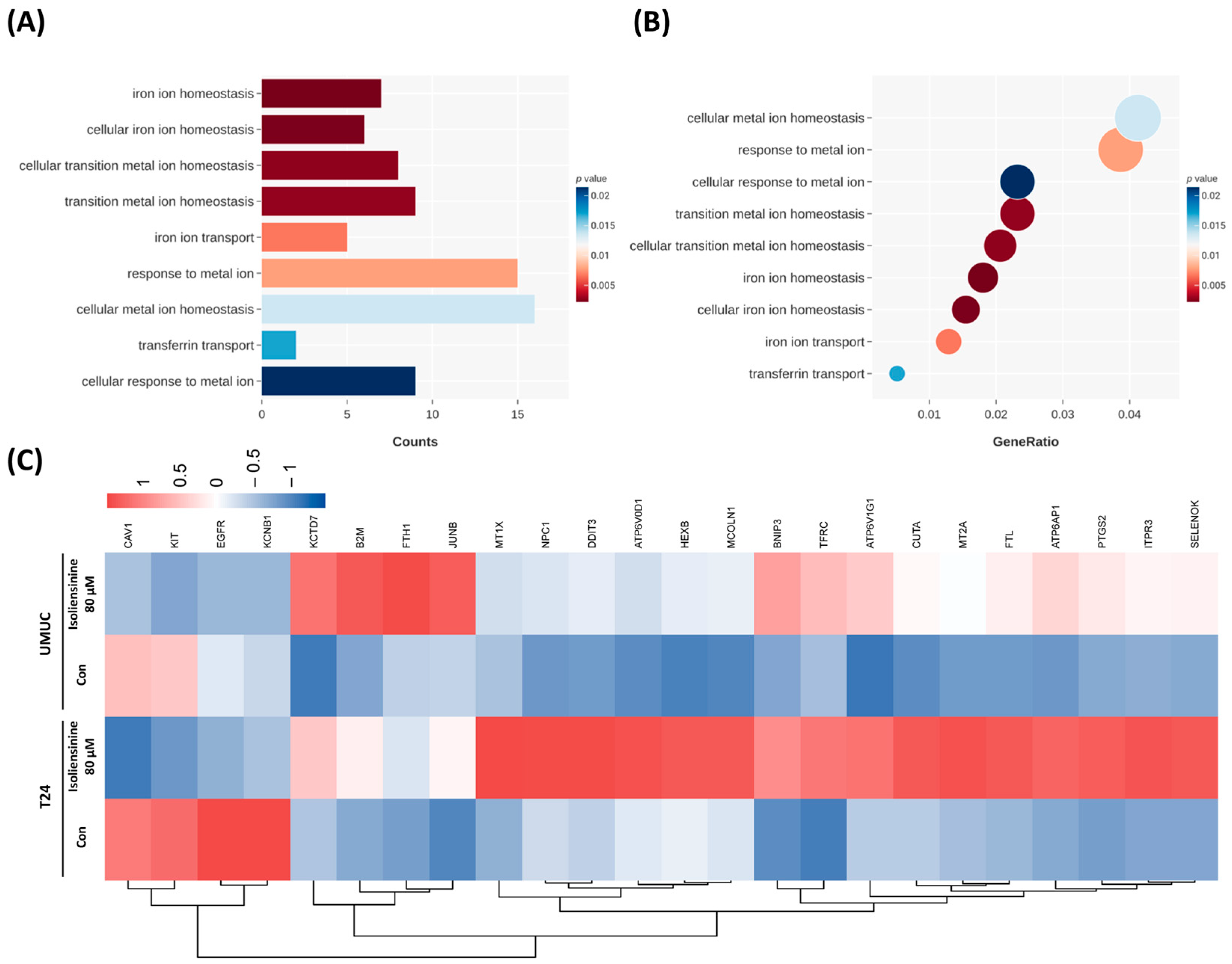 Pharmaceuticals 18 01008 g004