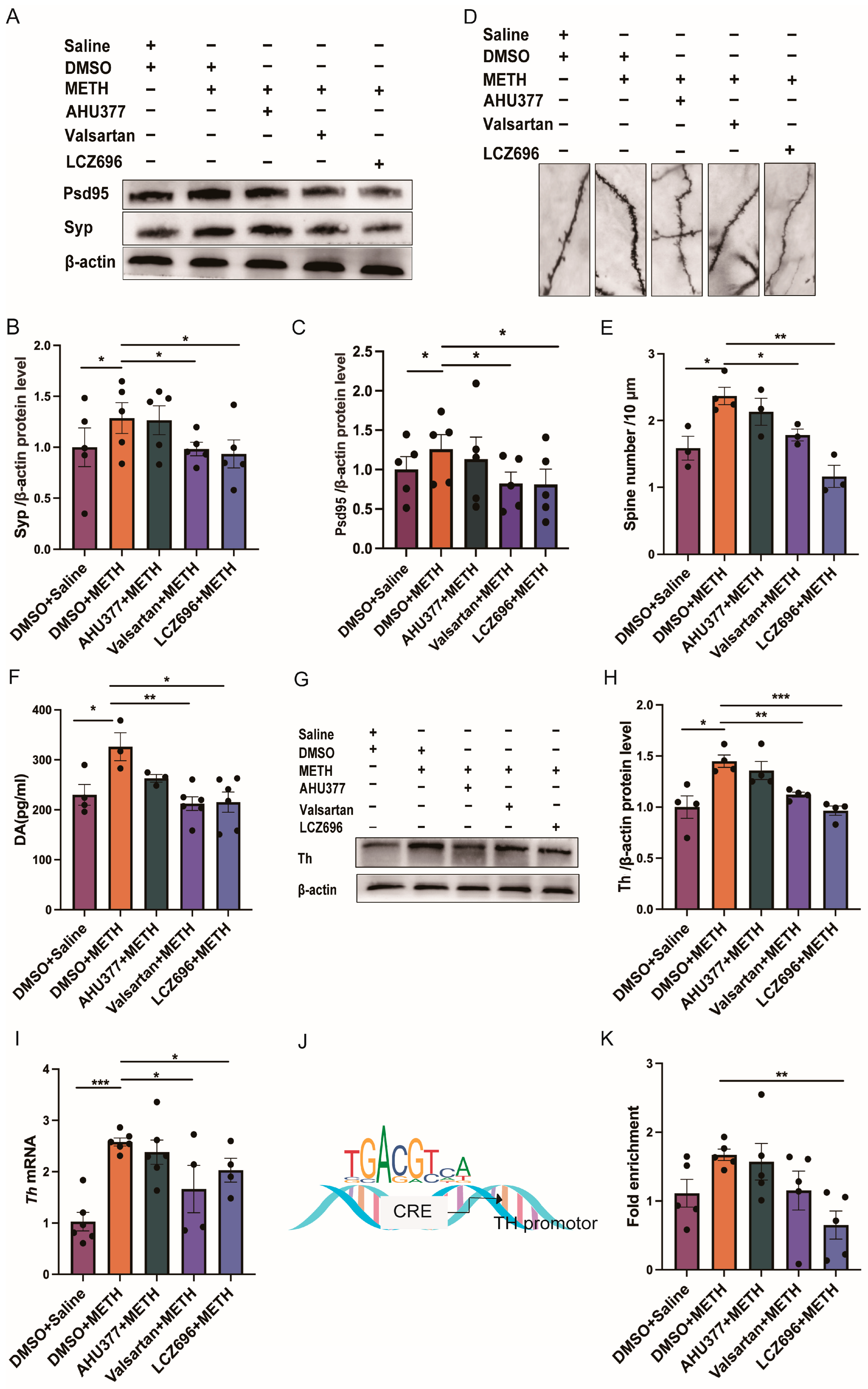 Pharmaceuticals 18 01016 g003