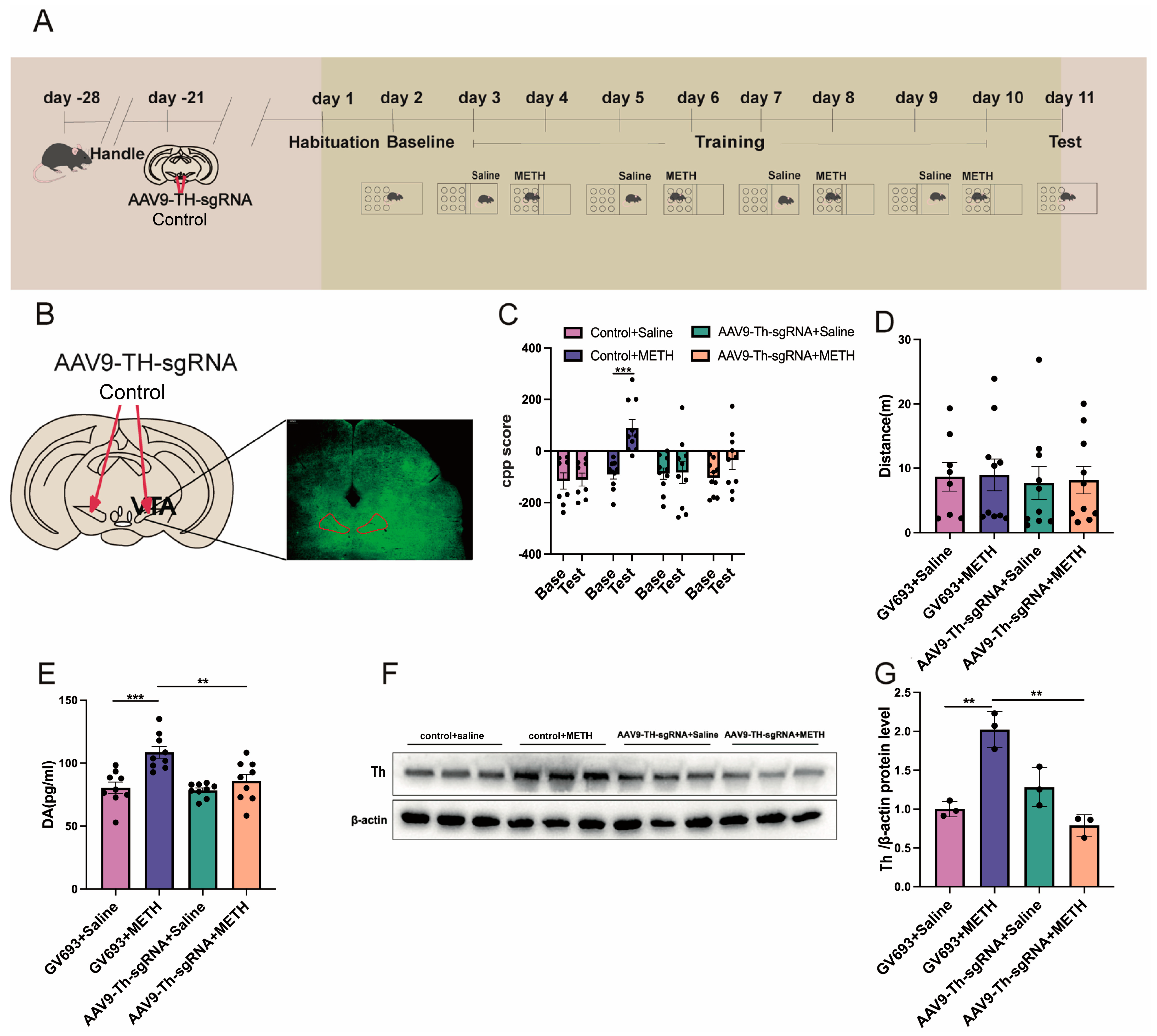 Pharmaceuticals 18 01016 g005