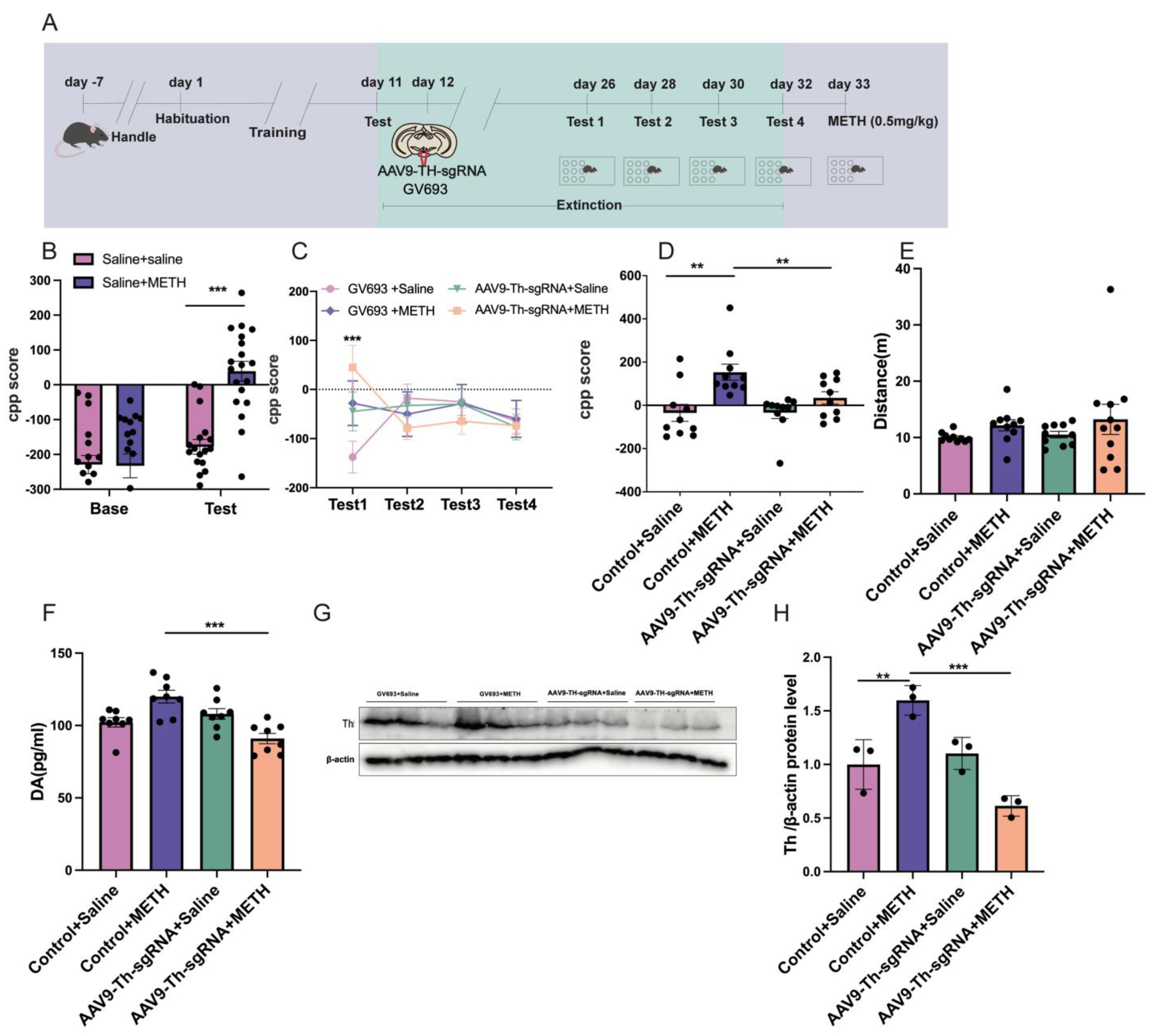 Pharmaceuticals 18 01016 g006