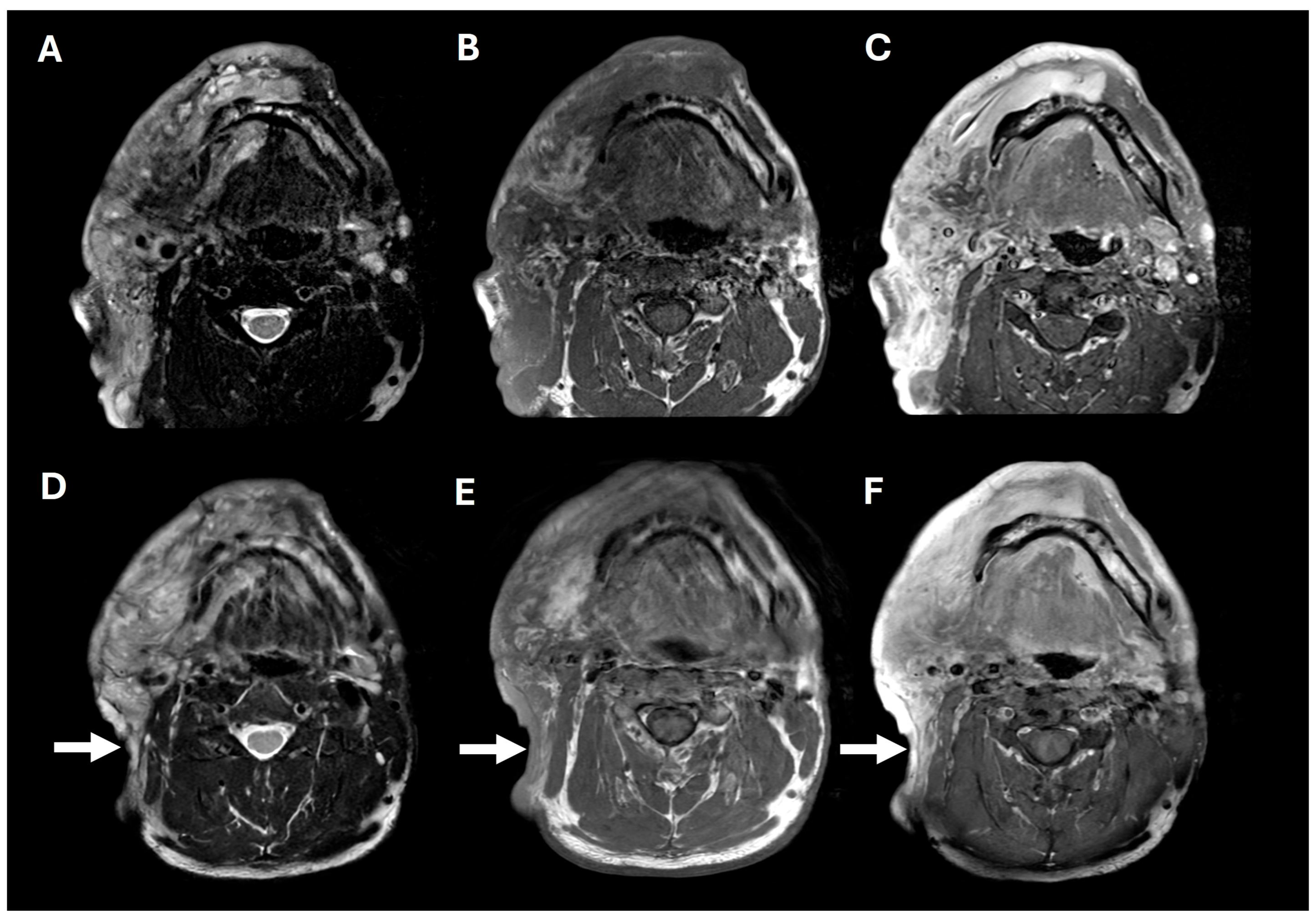 Pharmaceuticals 18 01039 g002