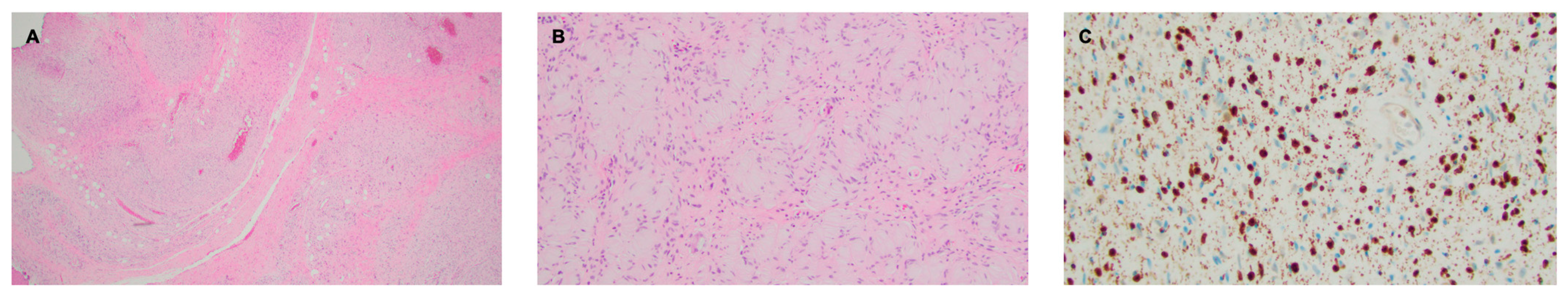 Pharmaceuticals 18 01039 g003