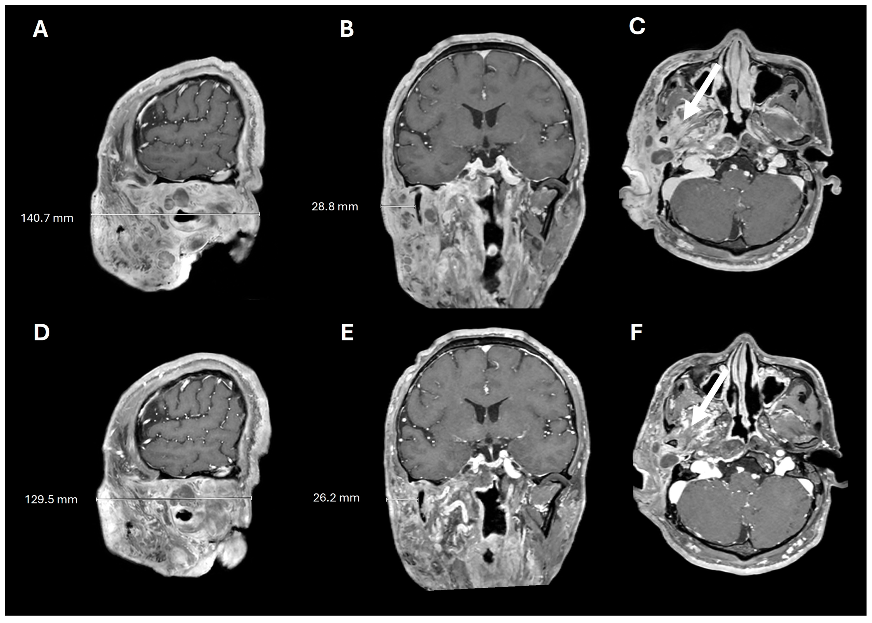 Pharmaceuticals 18 01039 g004