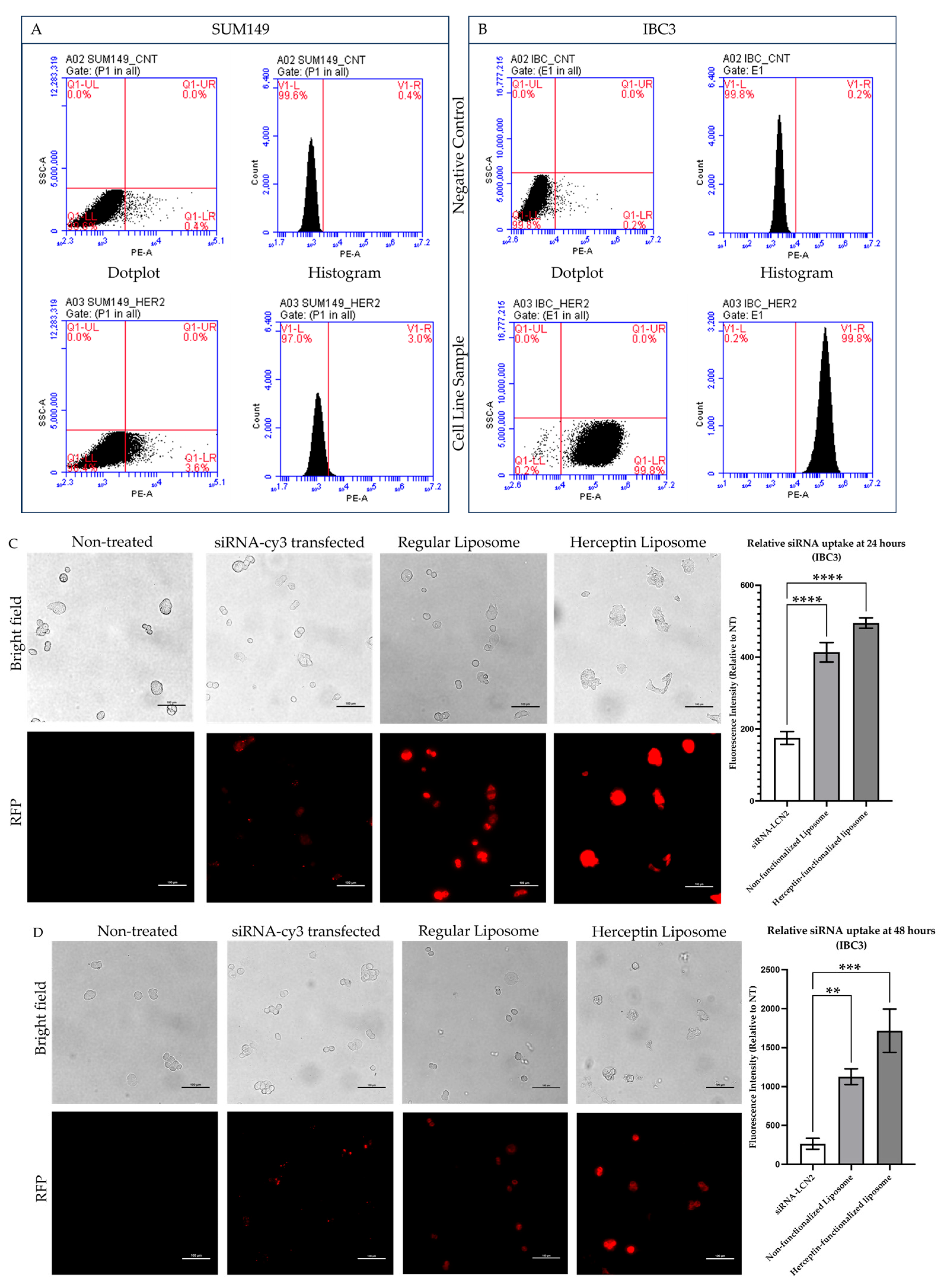 Pharmaceuticals 18 01053 g003a