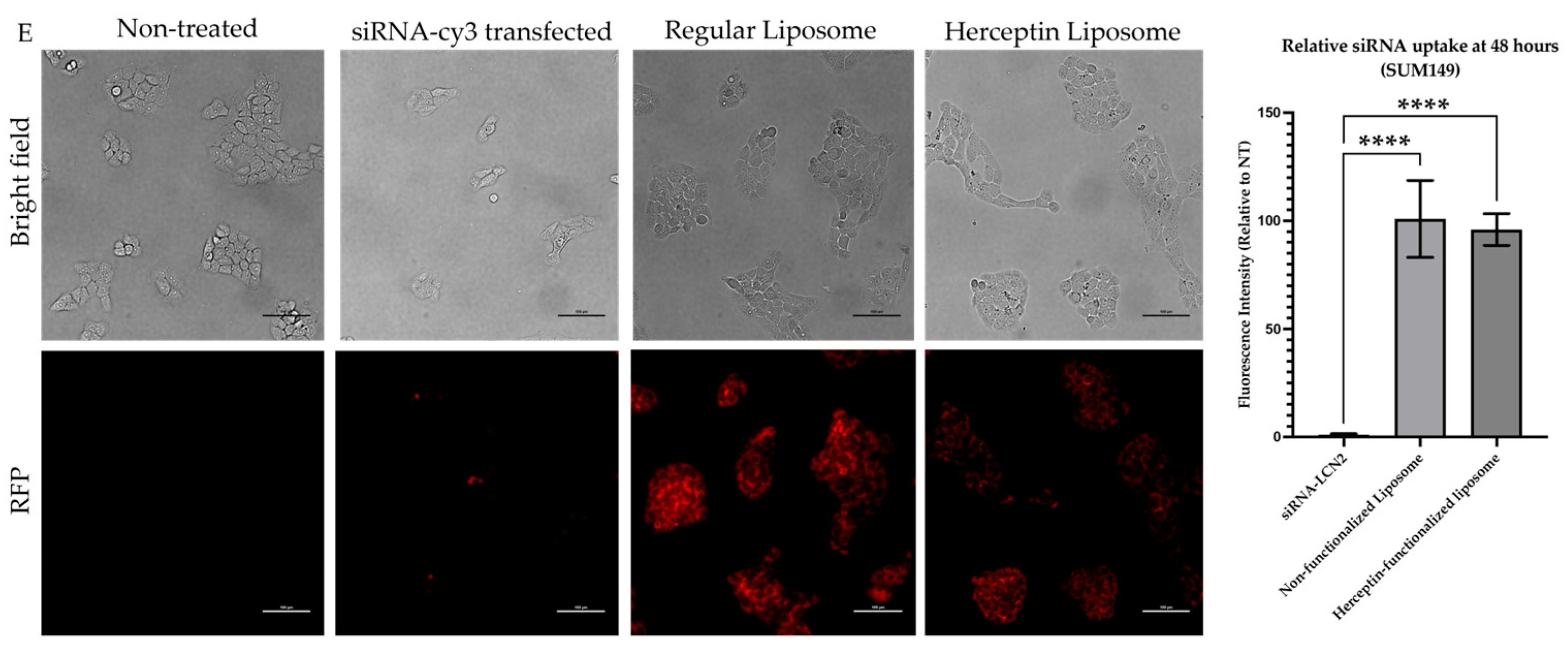 Pharmaceuticals 18 01053 g003b