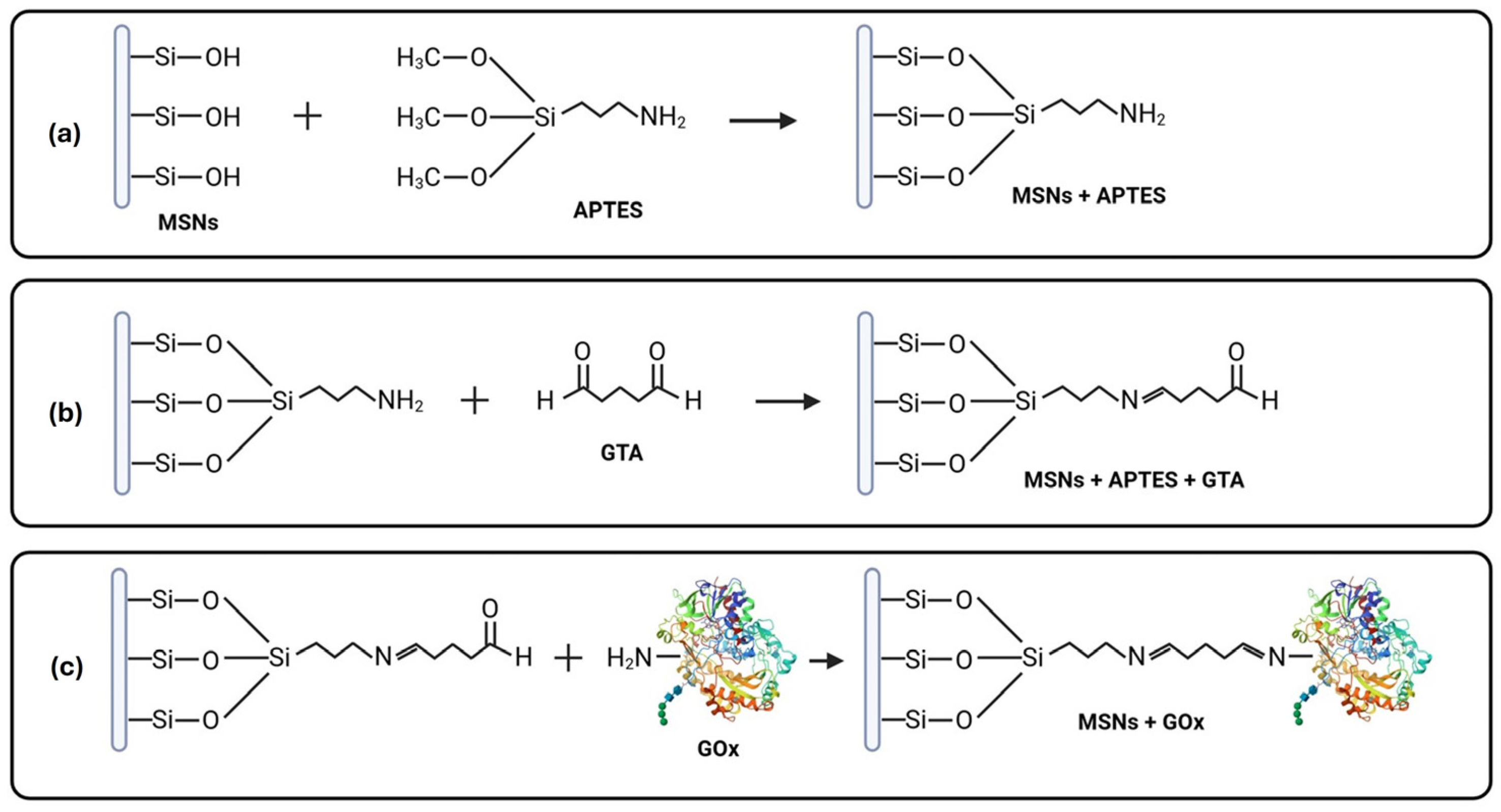 Pharmaceuticals 18 01060 g001