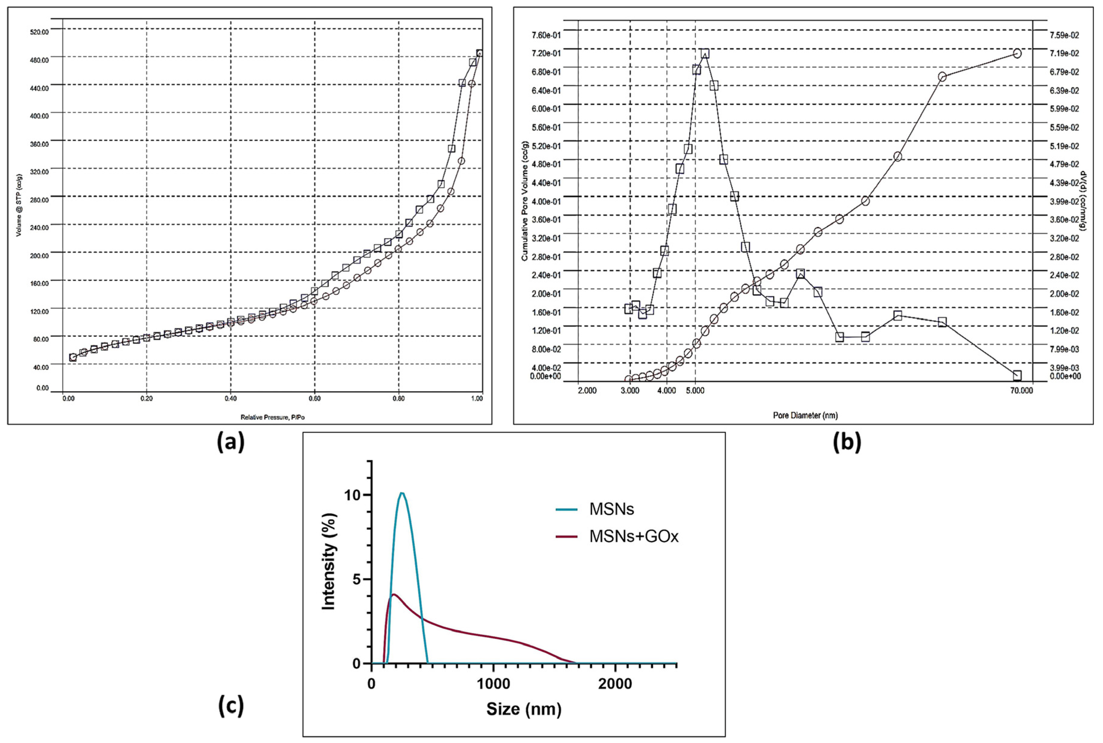 Pharmaceuticals 18 01060 g003