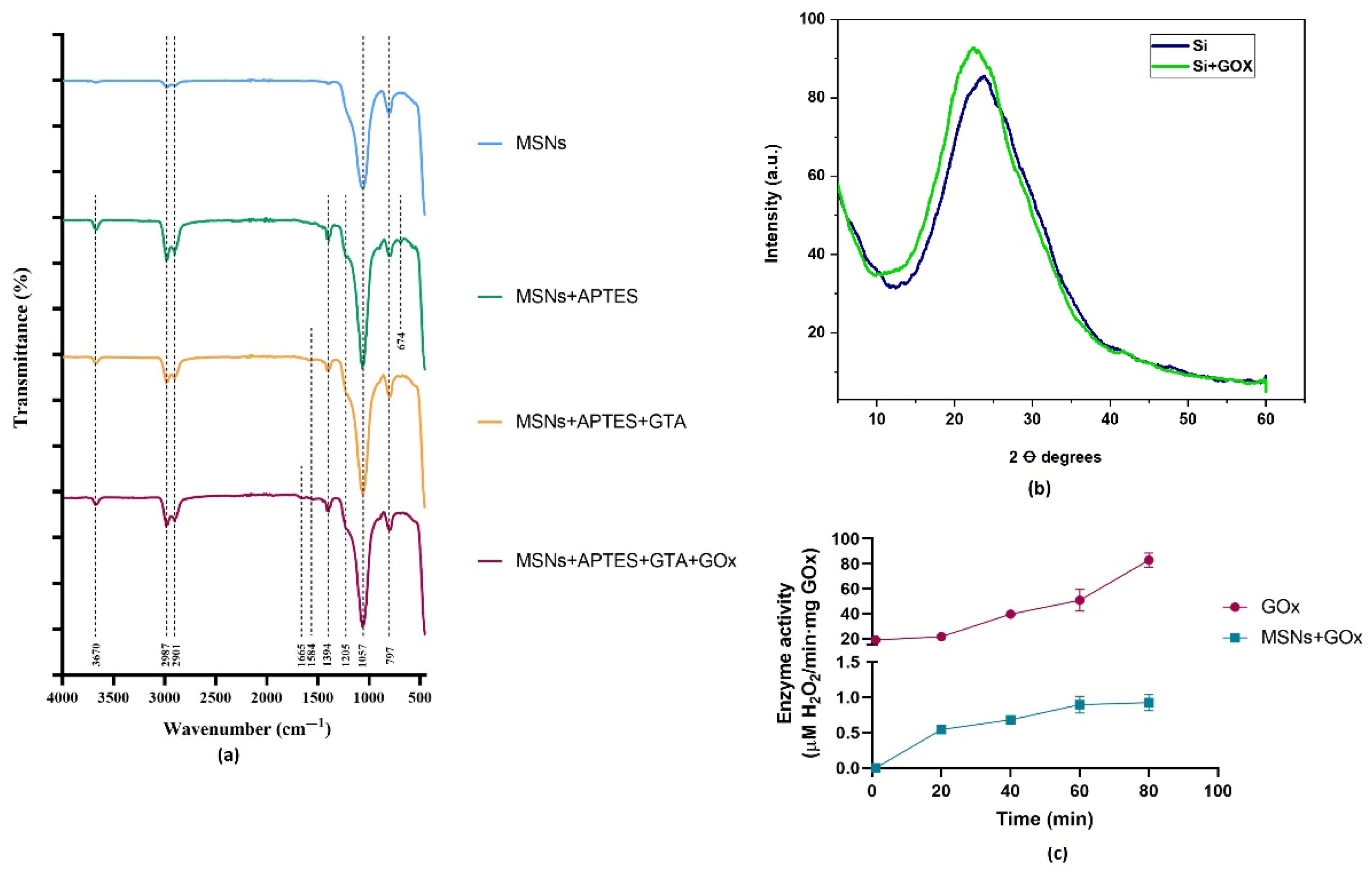 Pharmaceuticals 18 01060 g004