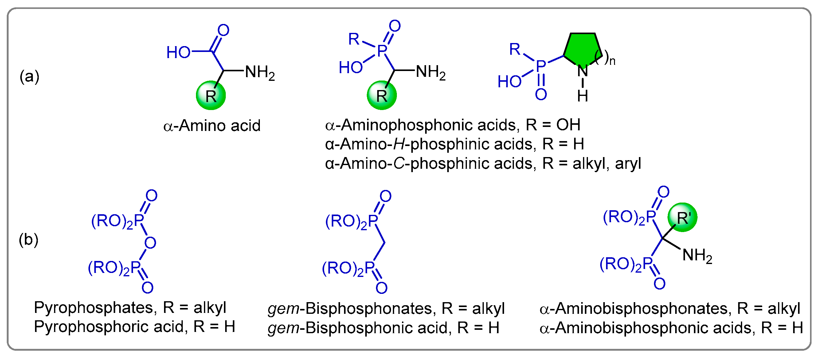Pharmaceuticals 18 01063 g001