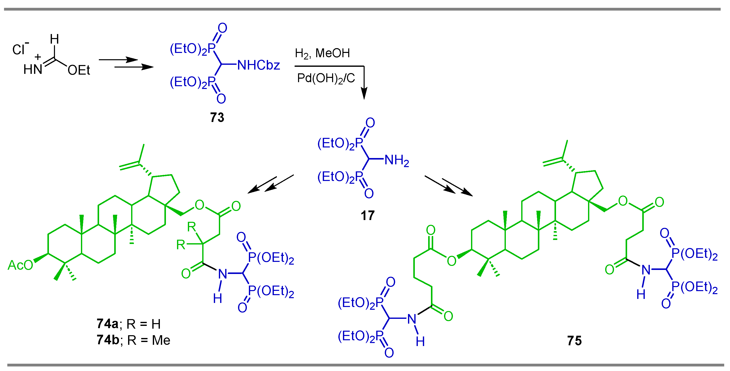 Pharmaceuticals 18 01063 sch036