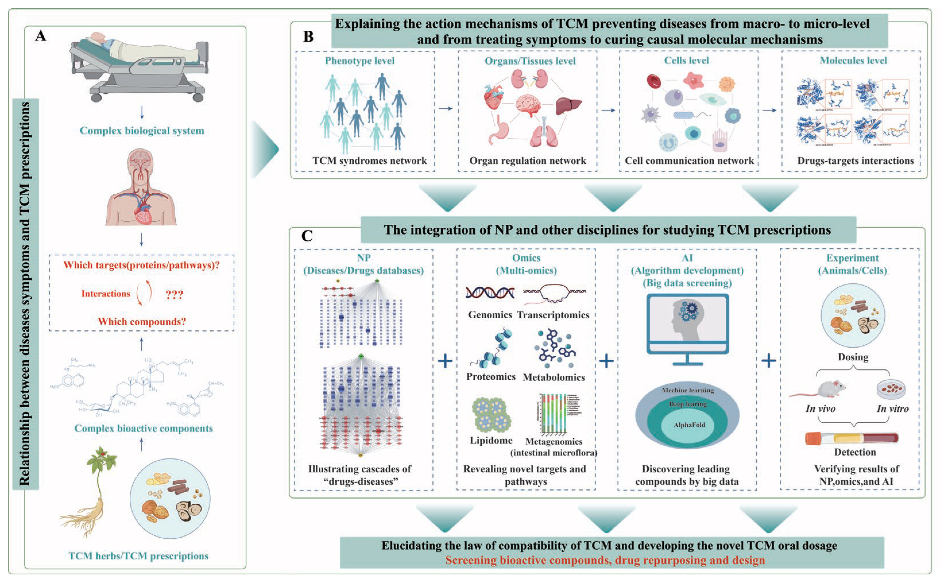 Pharmaceuticals 18 01074 g004