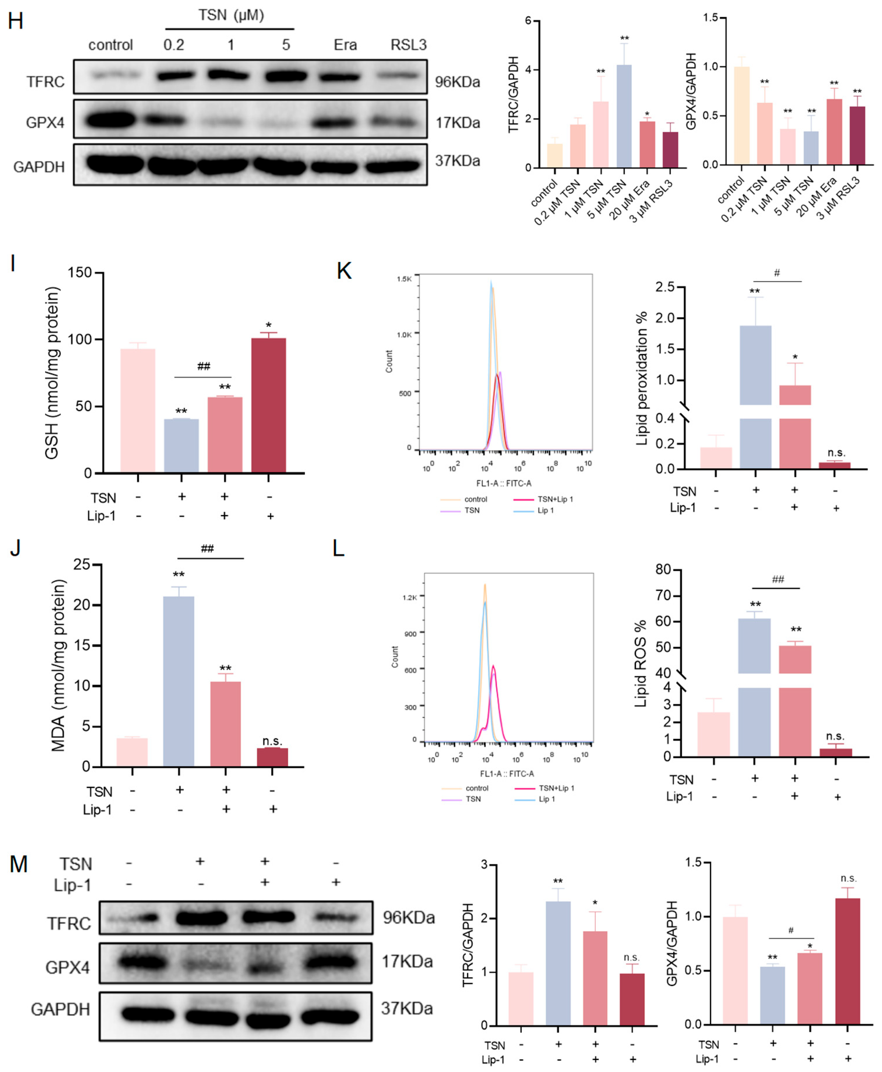 Pharmaceuticals 18 01078 g001b