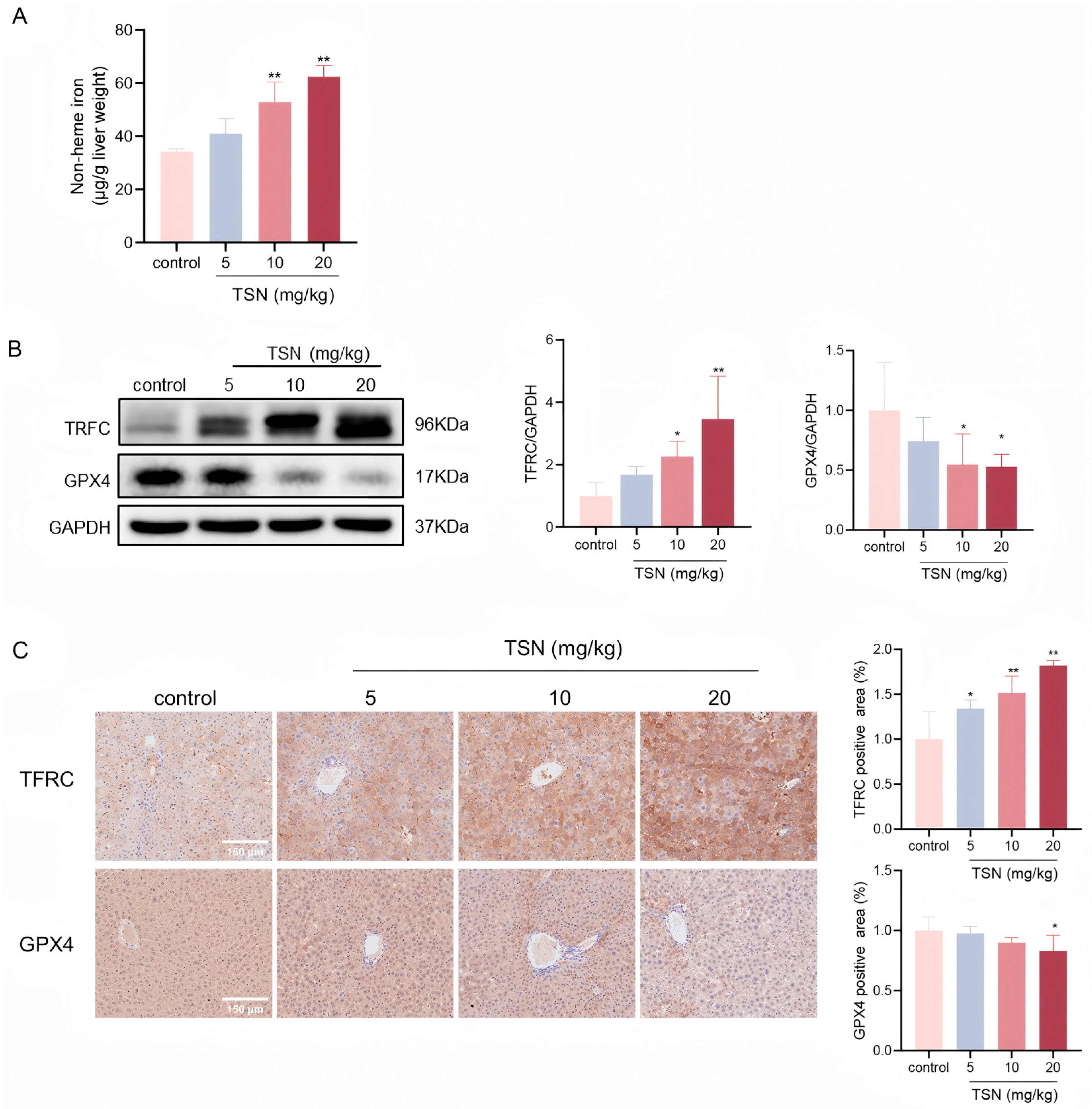 Pharmaceuticals 18 01078 g002