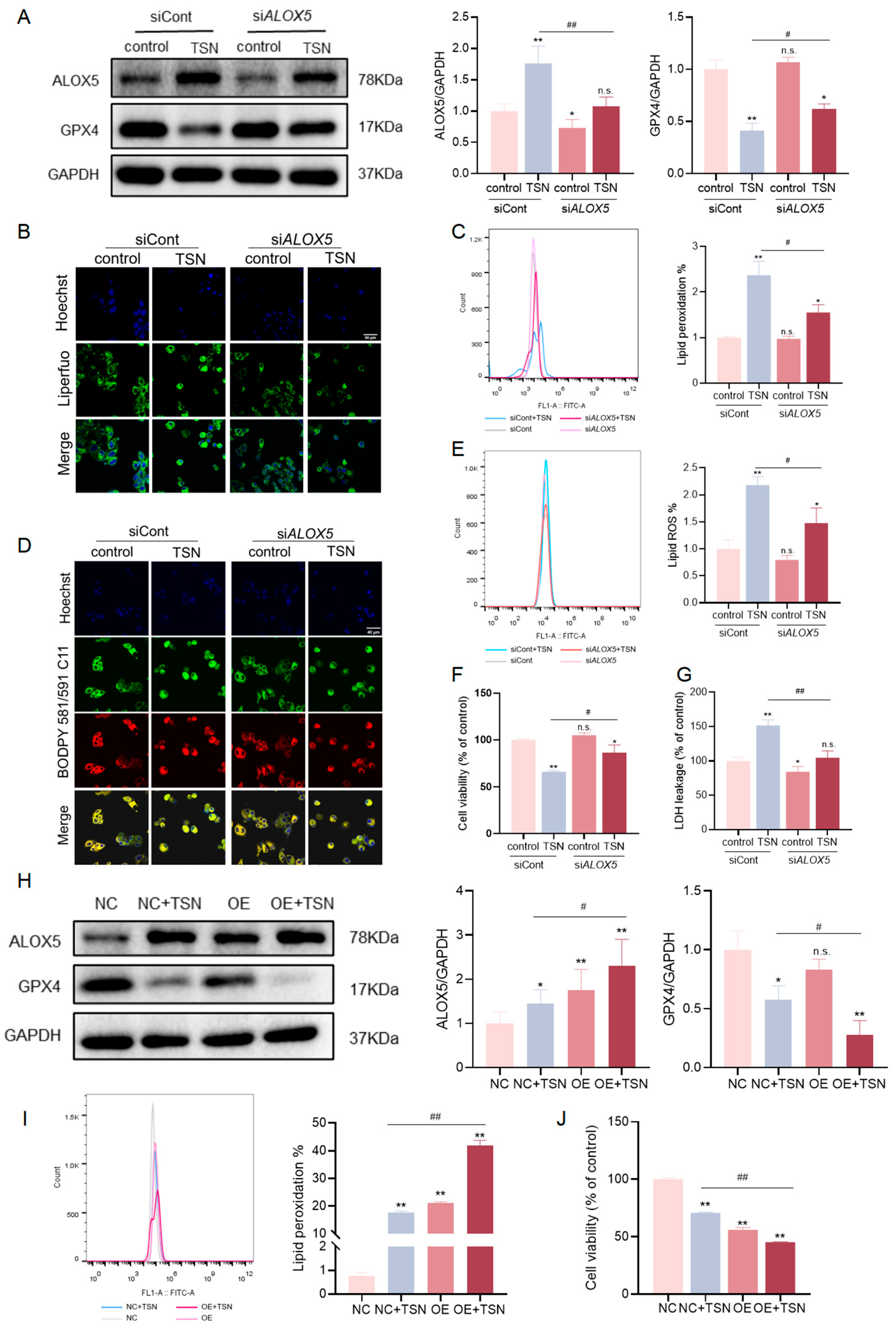 Pharmaceuticals 18 01078 g004