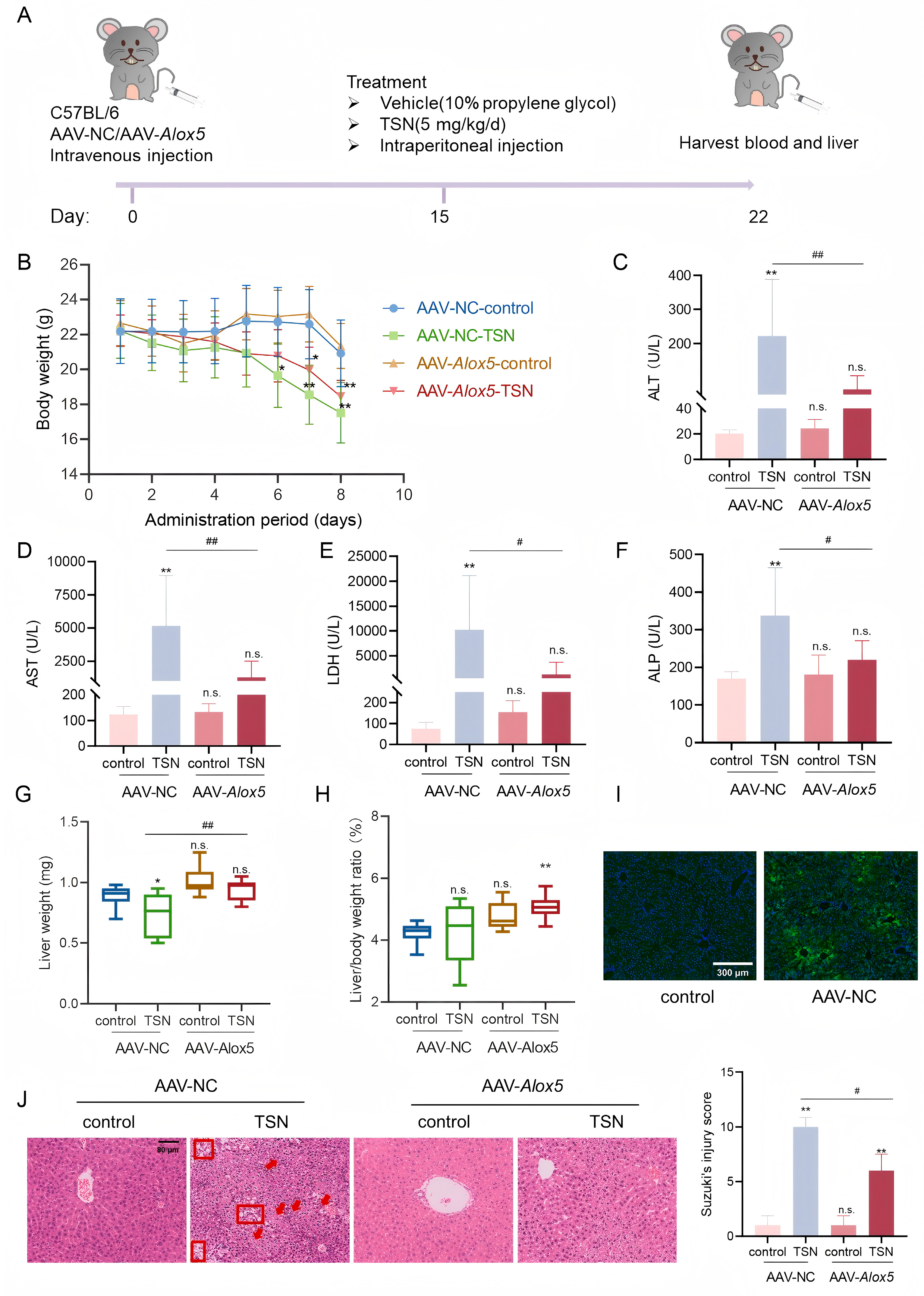 Pharmaceuticals 18 01078 g005