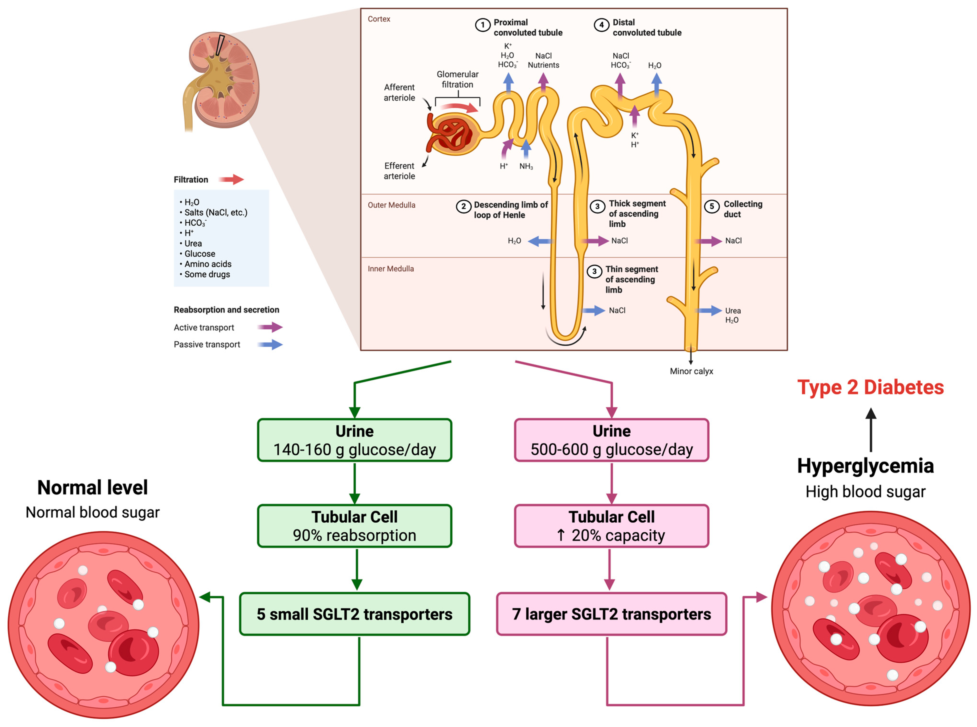 Pharmaceuticals 18 01101 g001