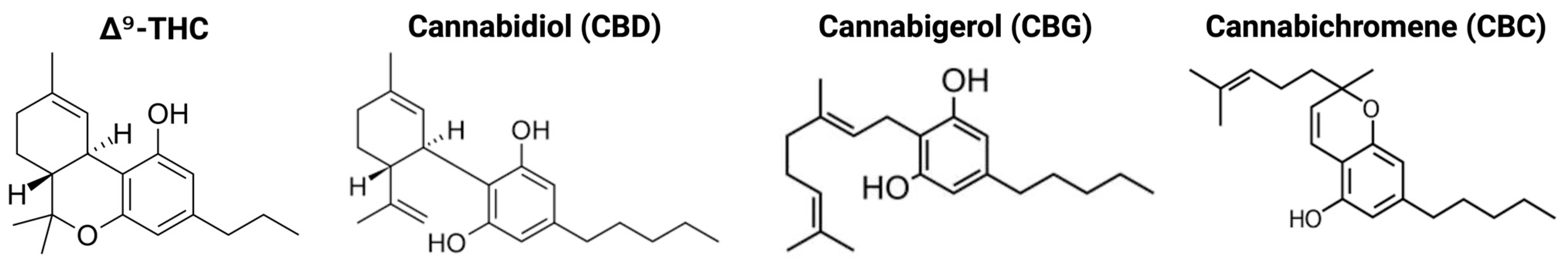 Pharmaceuticals 18 01101 g002