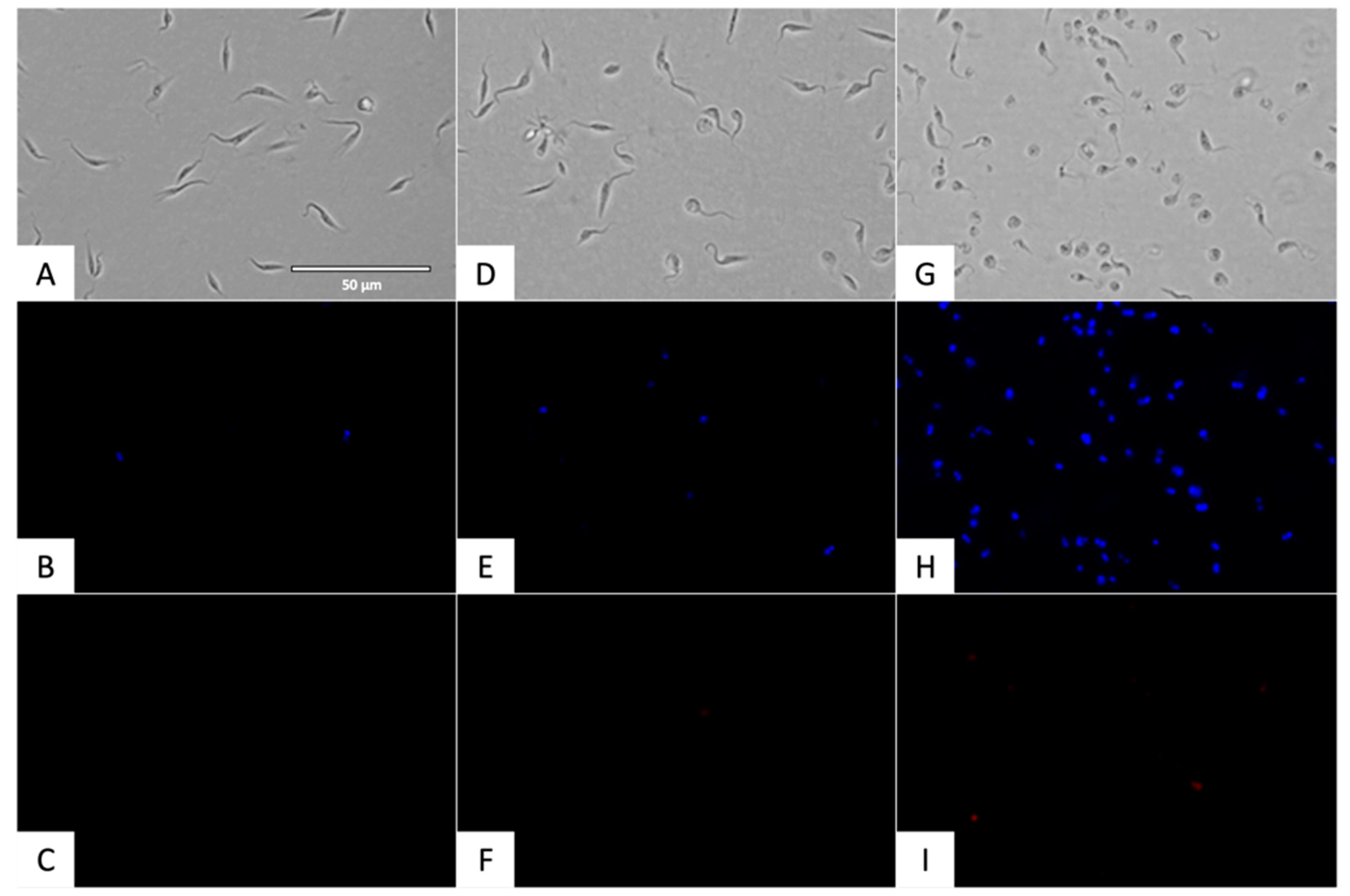 Pharmaceuticals 18 01106 g002