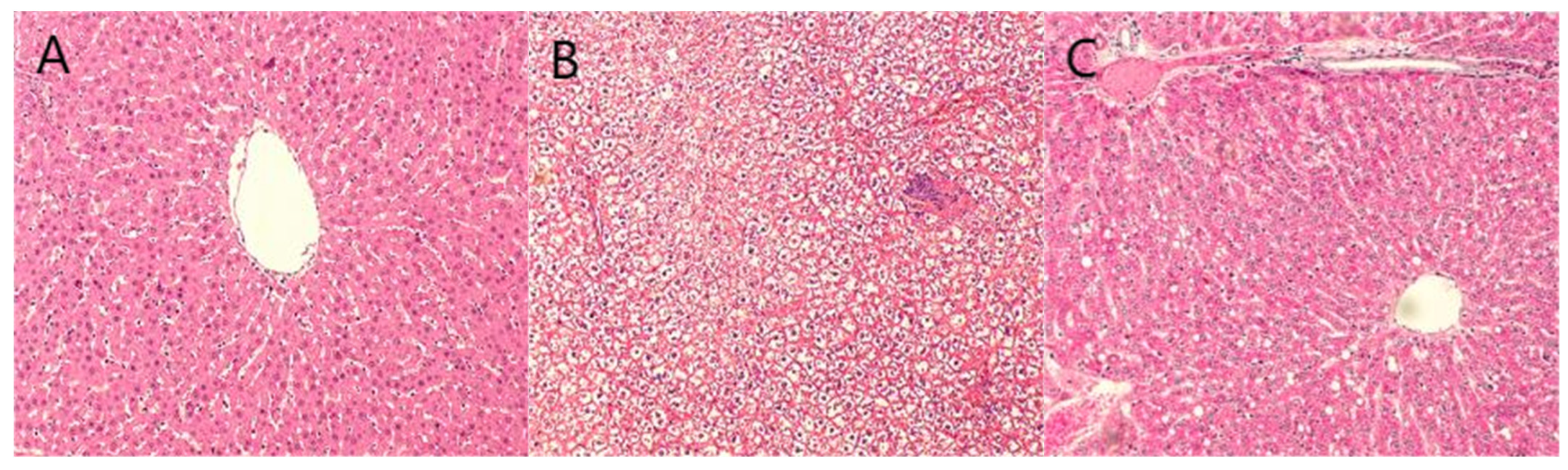 Pharmaceuticals 18 01111 g005a Pharmaceuticals 18 01111 g005a