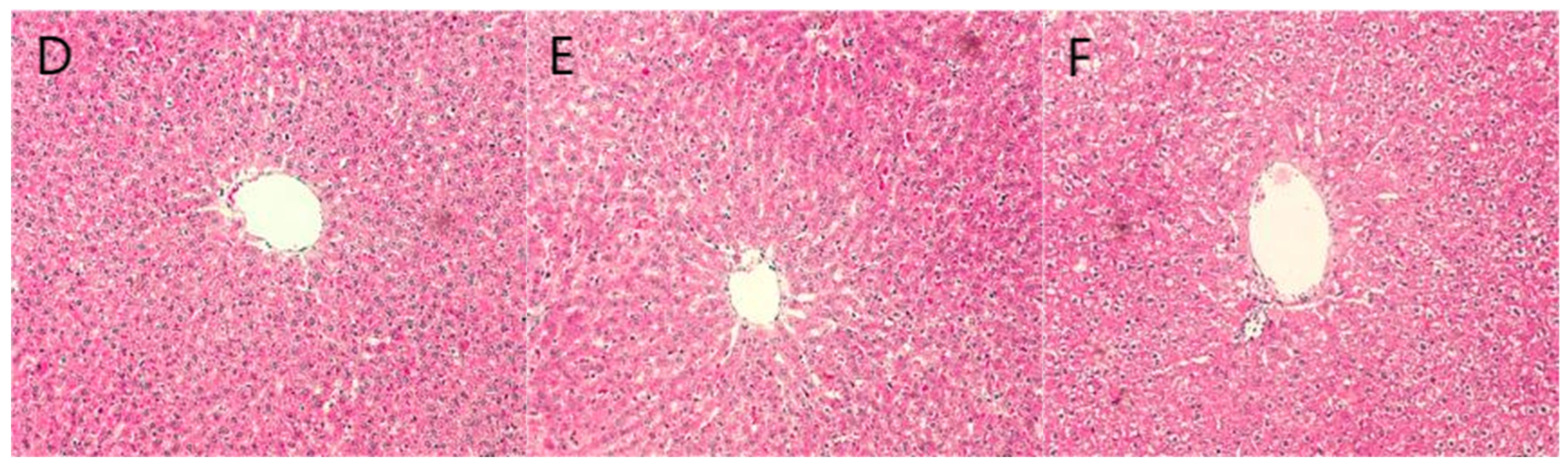 Pharmaceuticals 18 01111 g005b Pharmaceuticals 18 01111 g005b