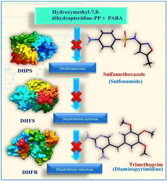 Pharmaceuticals 18 01119 g002