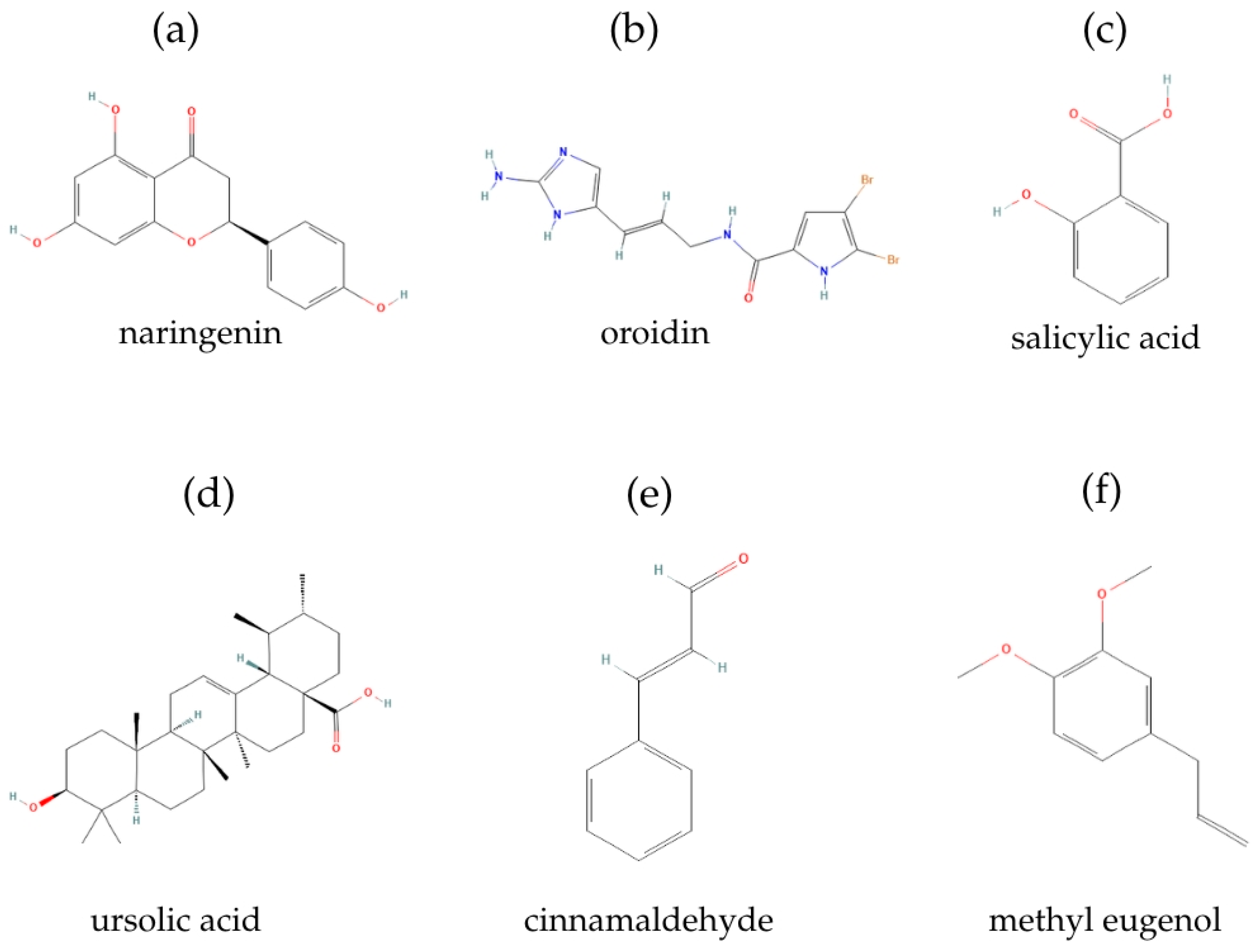 Pharmaceuticals 18 01119 g006 Pharmaceuticals 18 01119 g006