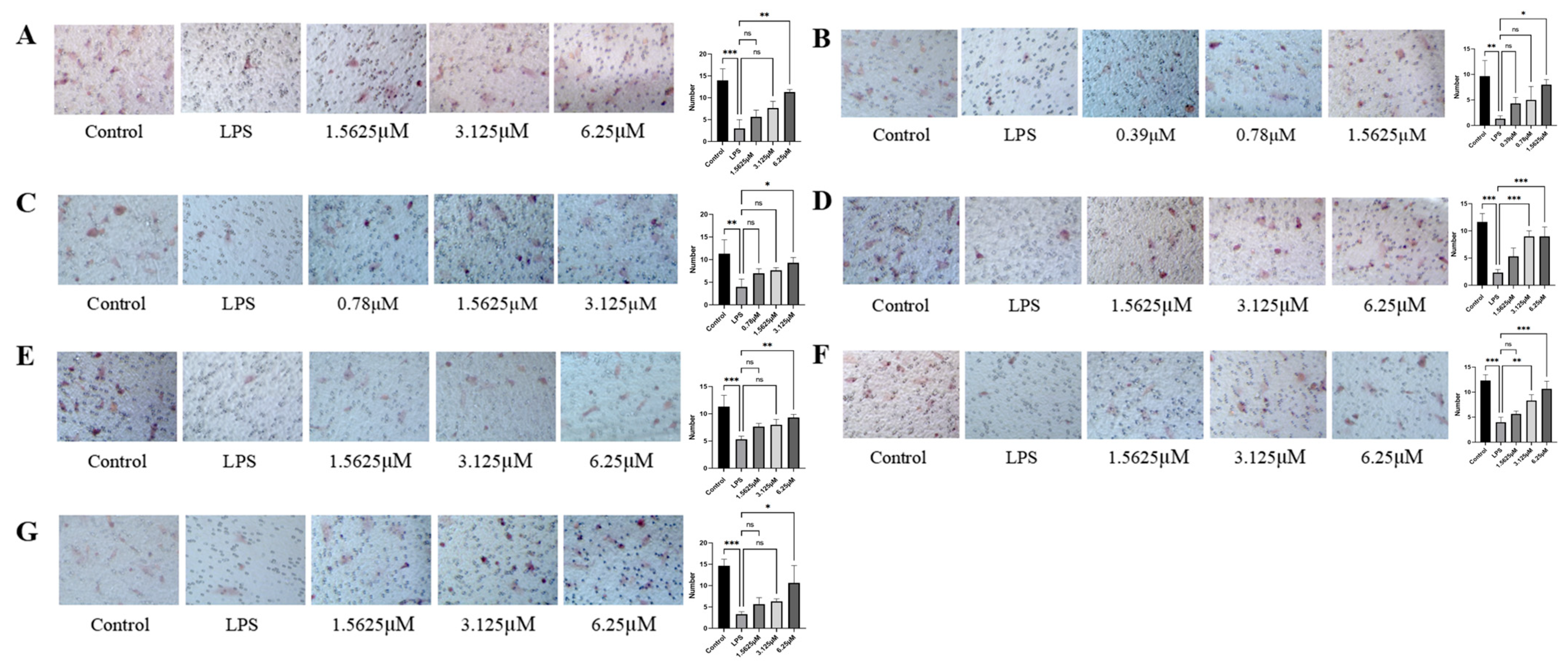 Pharmaceuticals 18 01125 g006