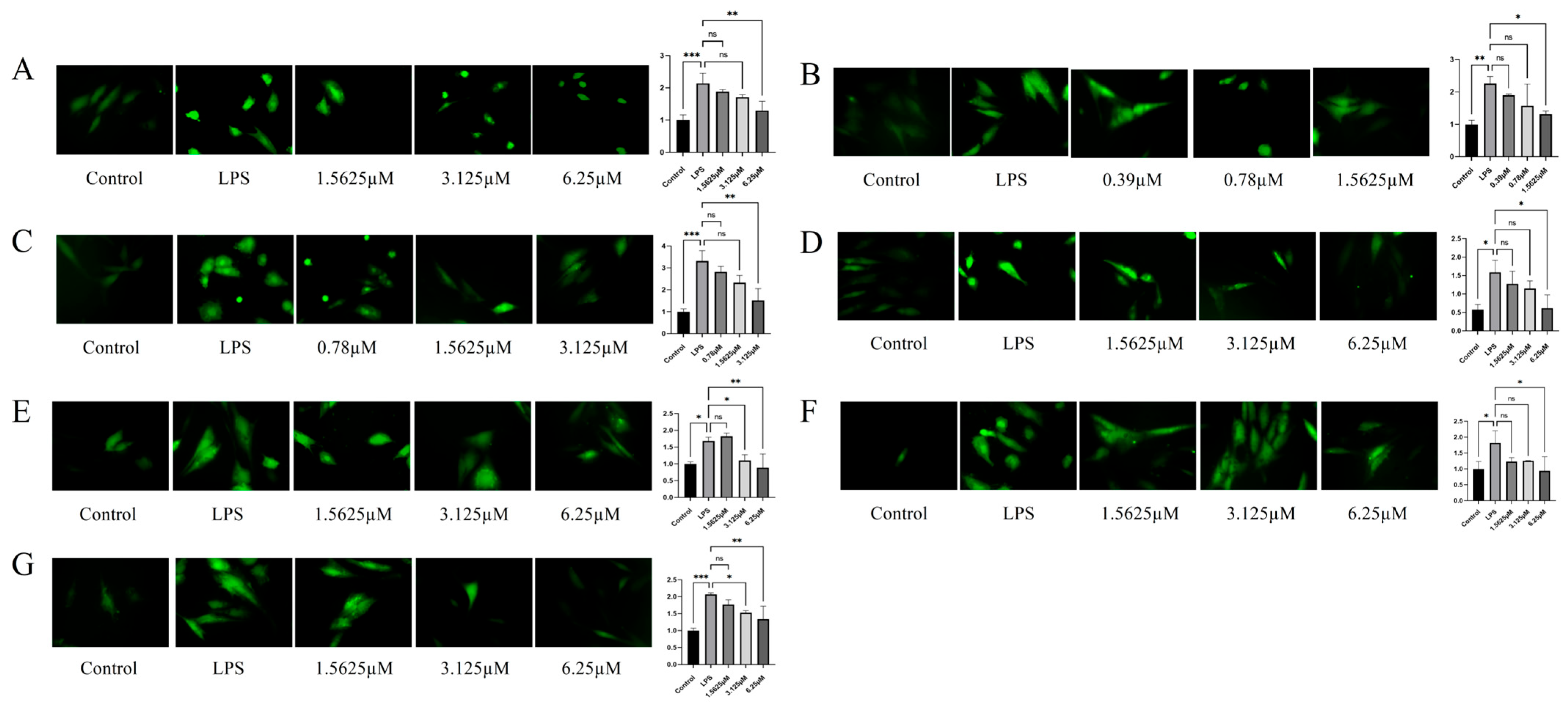Pharmaceuticals 18 01125 g007