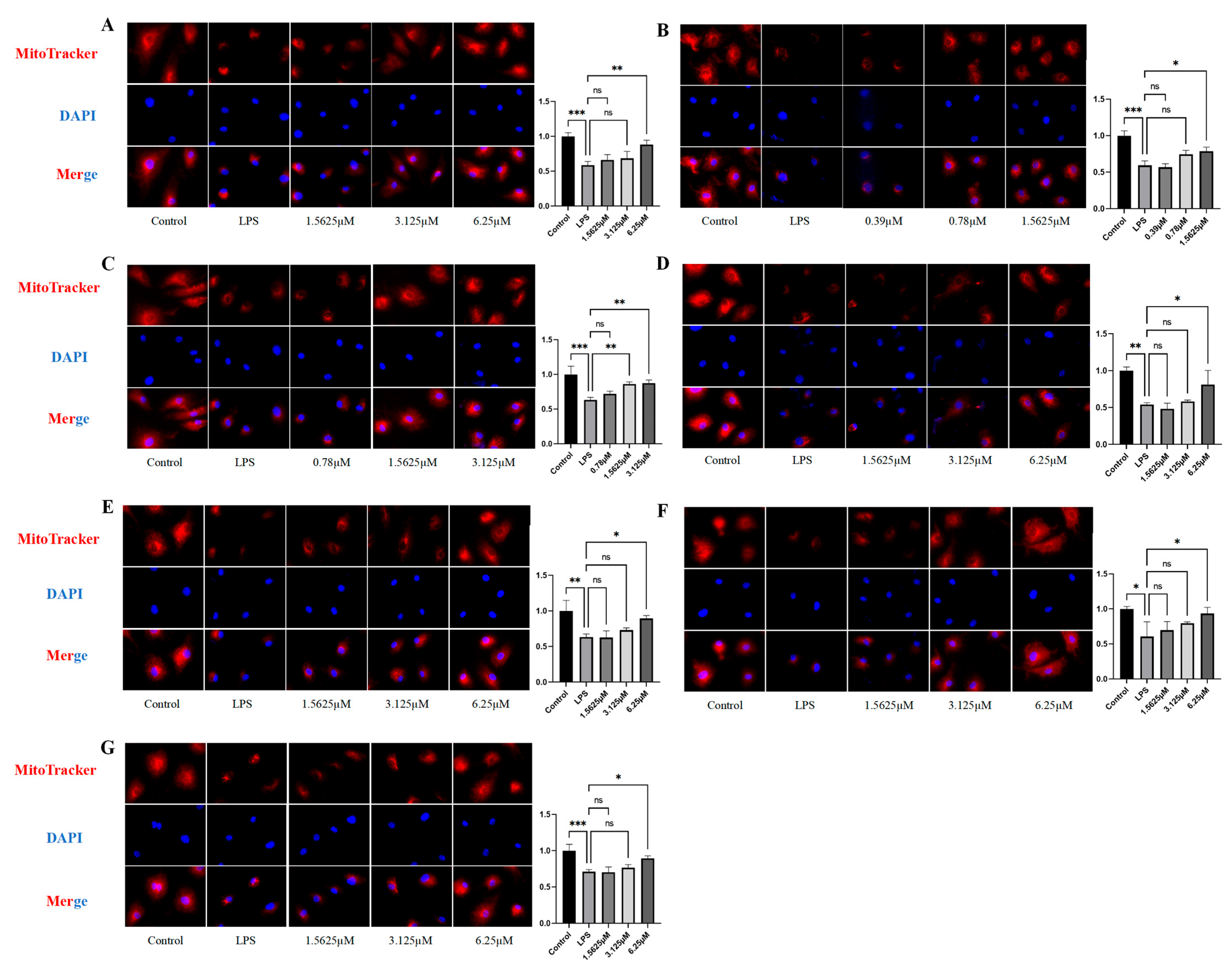 Pharmaceuticals 18 01125 g008