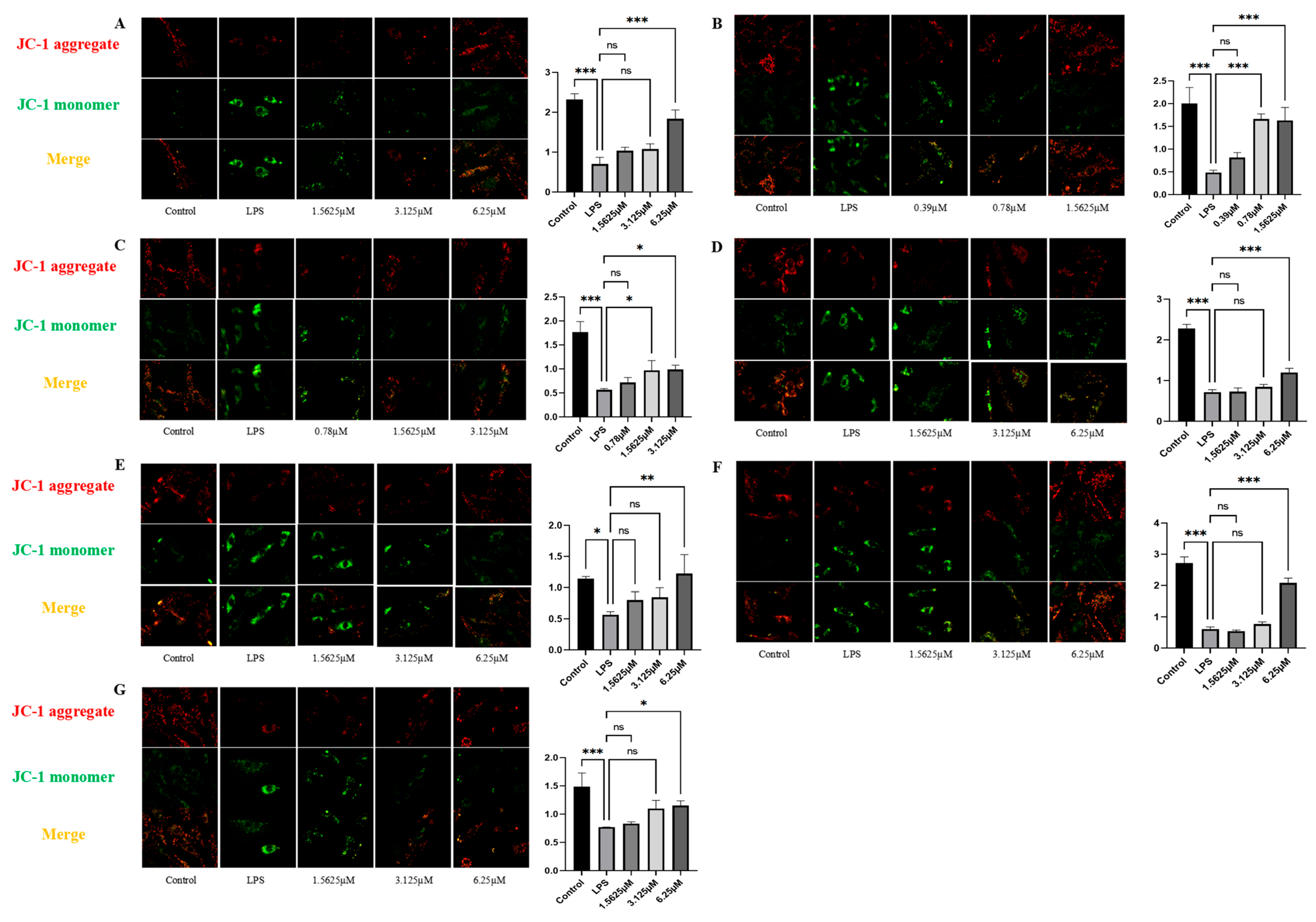 Pharmaceuticals 18 01125 g009