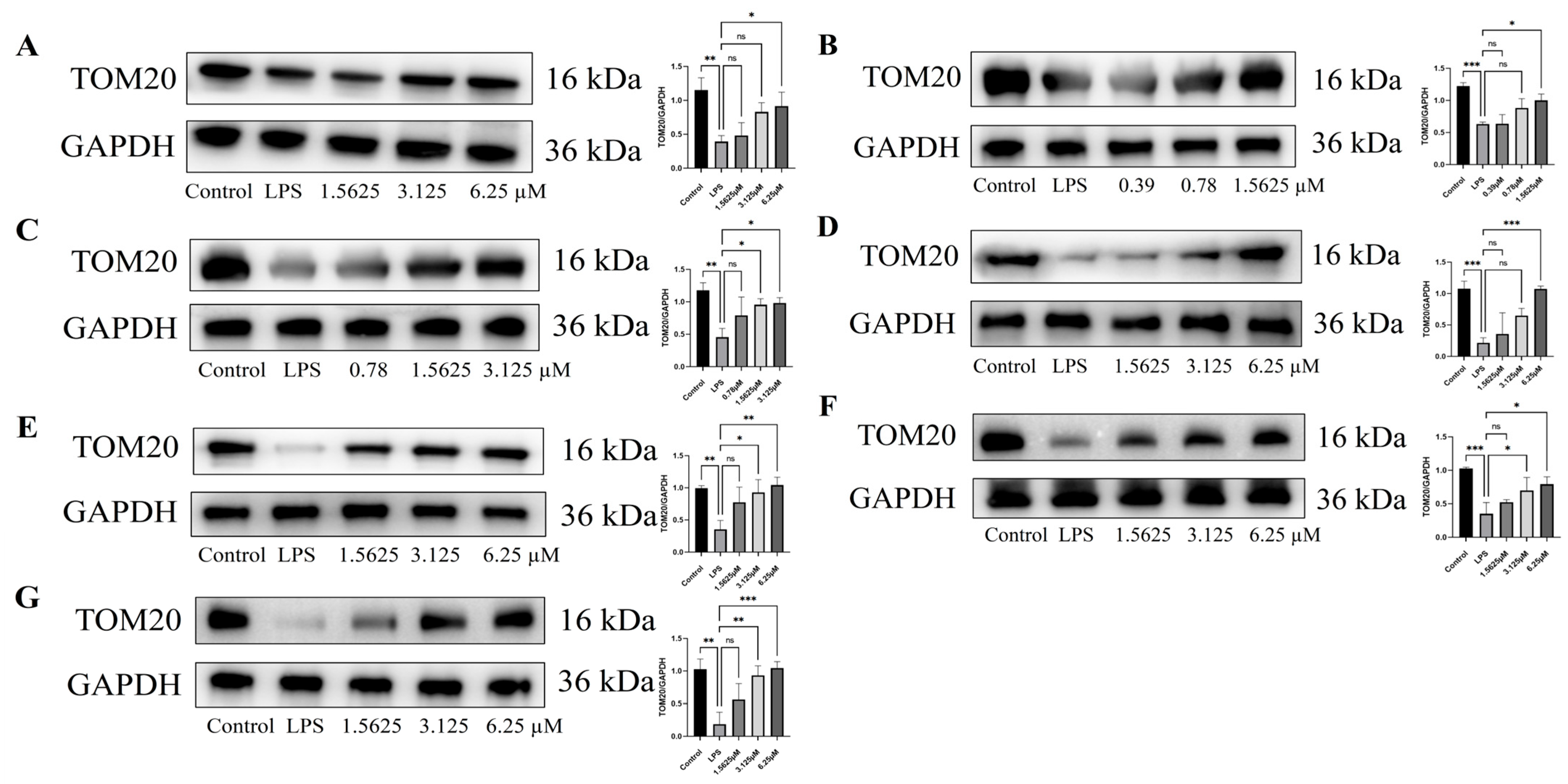 Pharmaceuticals 18 01125 g010