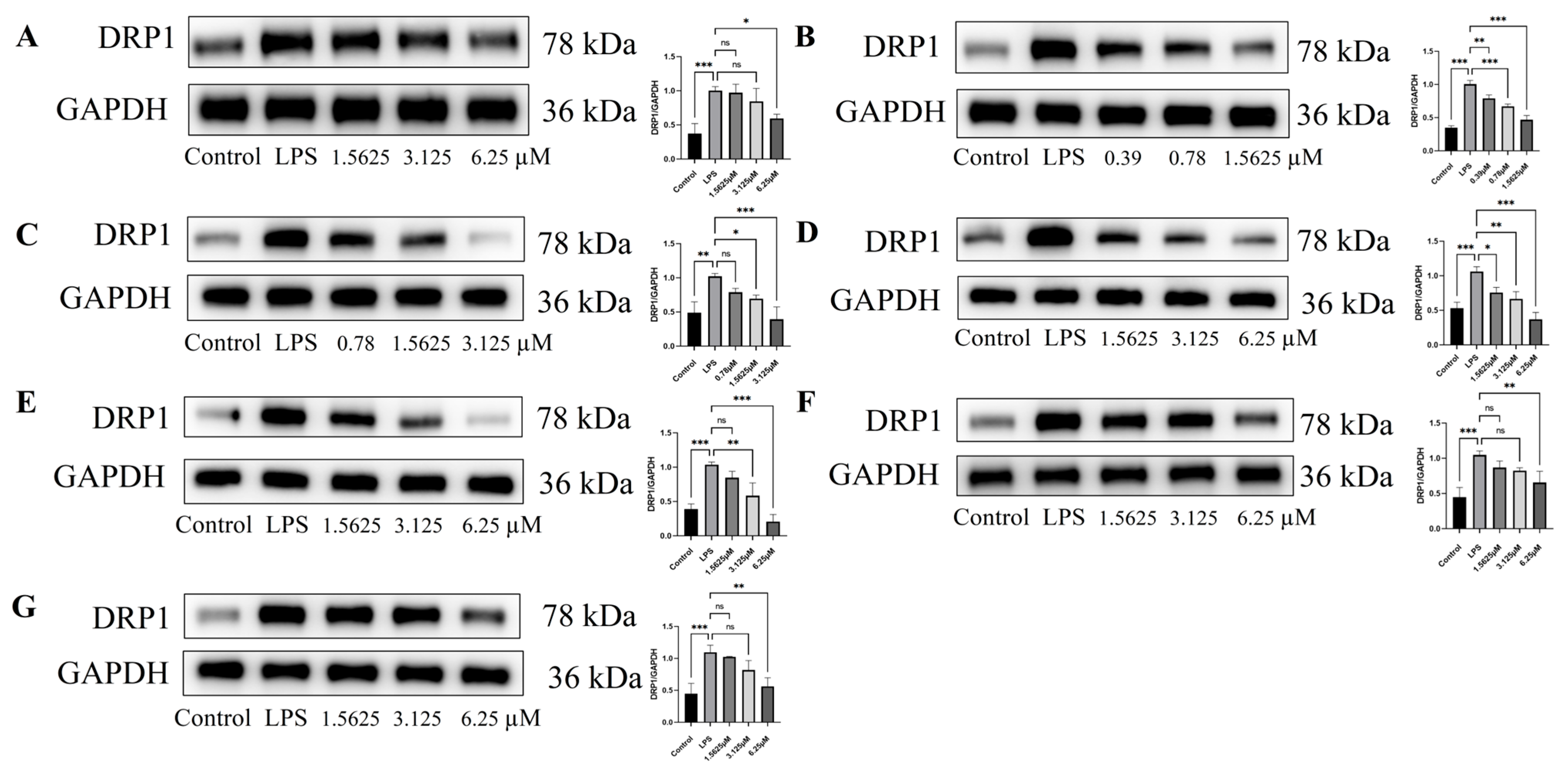 Pharmaceuticals 18 01125 g011