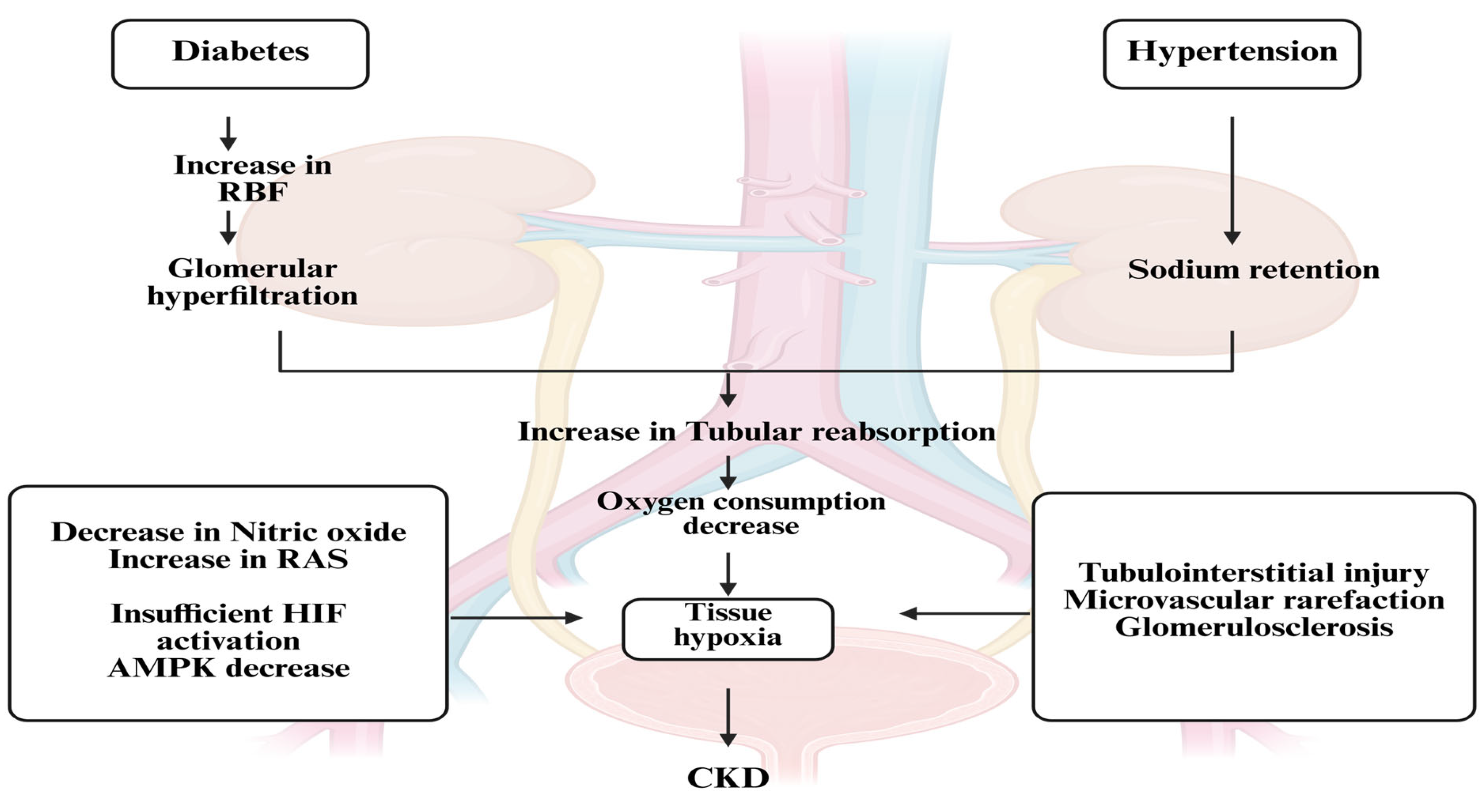 Pharmaceuticals 18 01130 g001