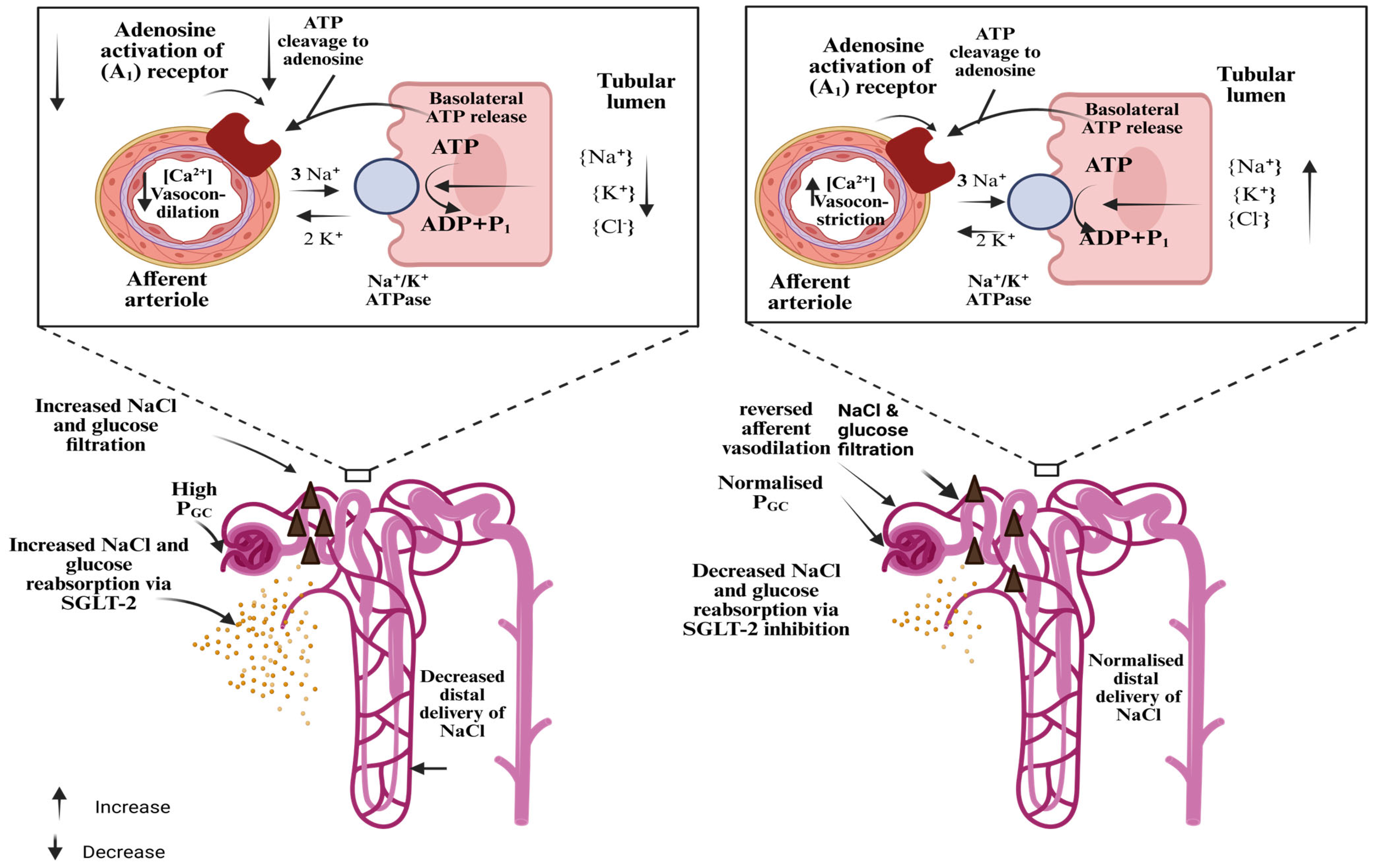 Pharmaceuticals 18 01130 g002