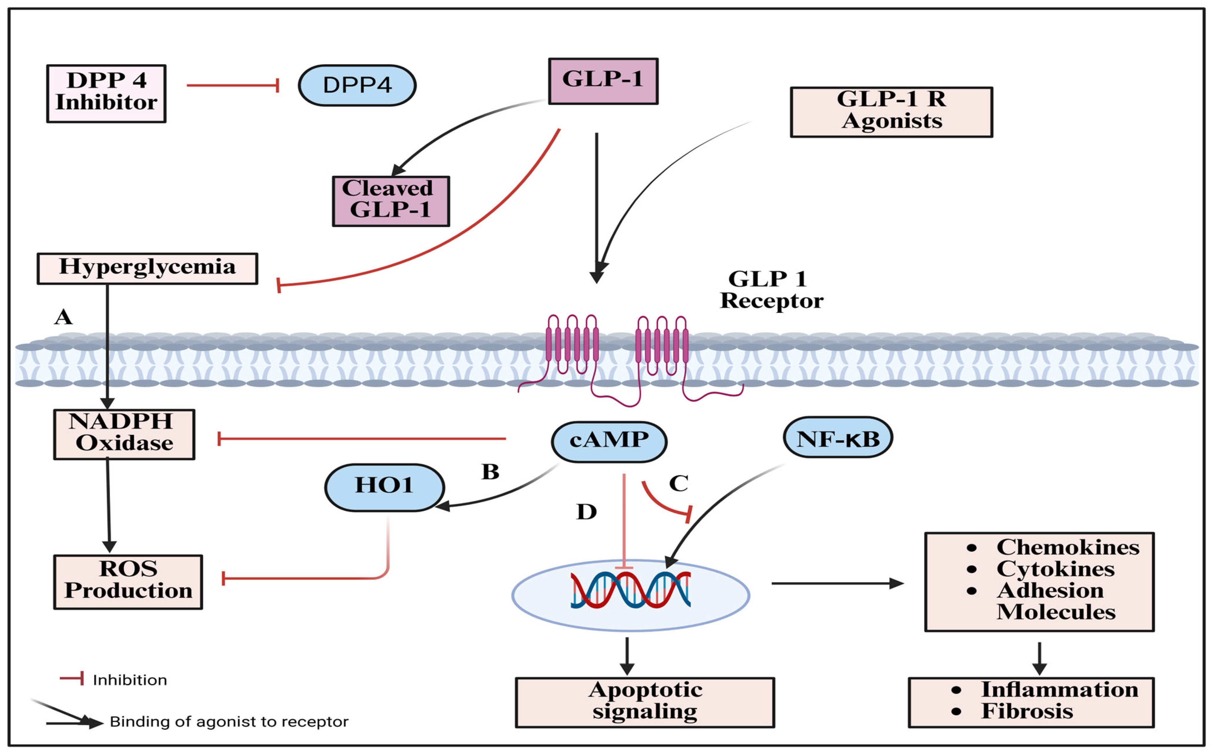 Pharmaceuticals 18 01130 g003