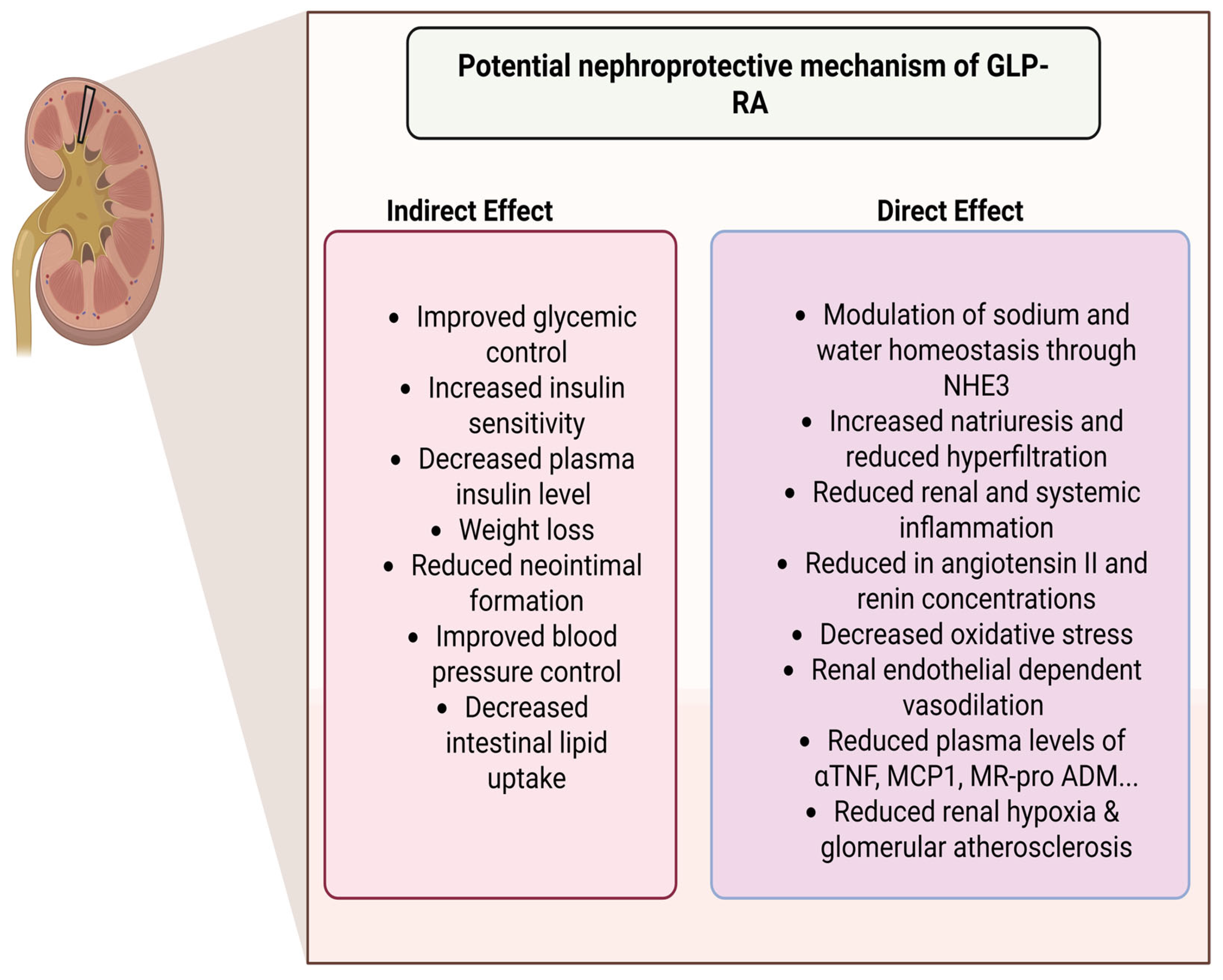Pharmaceuticals 18 01130 g004