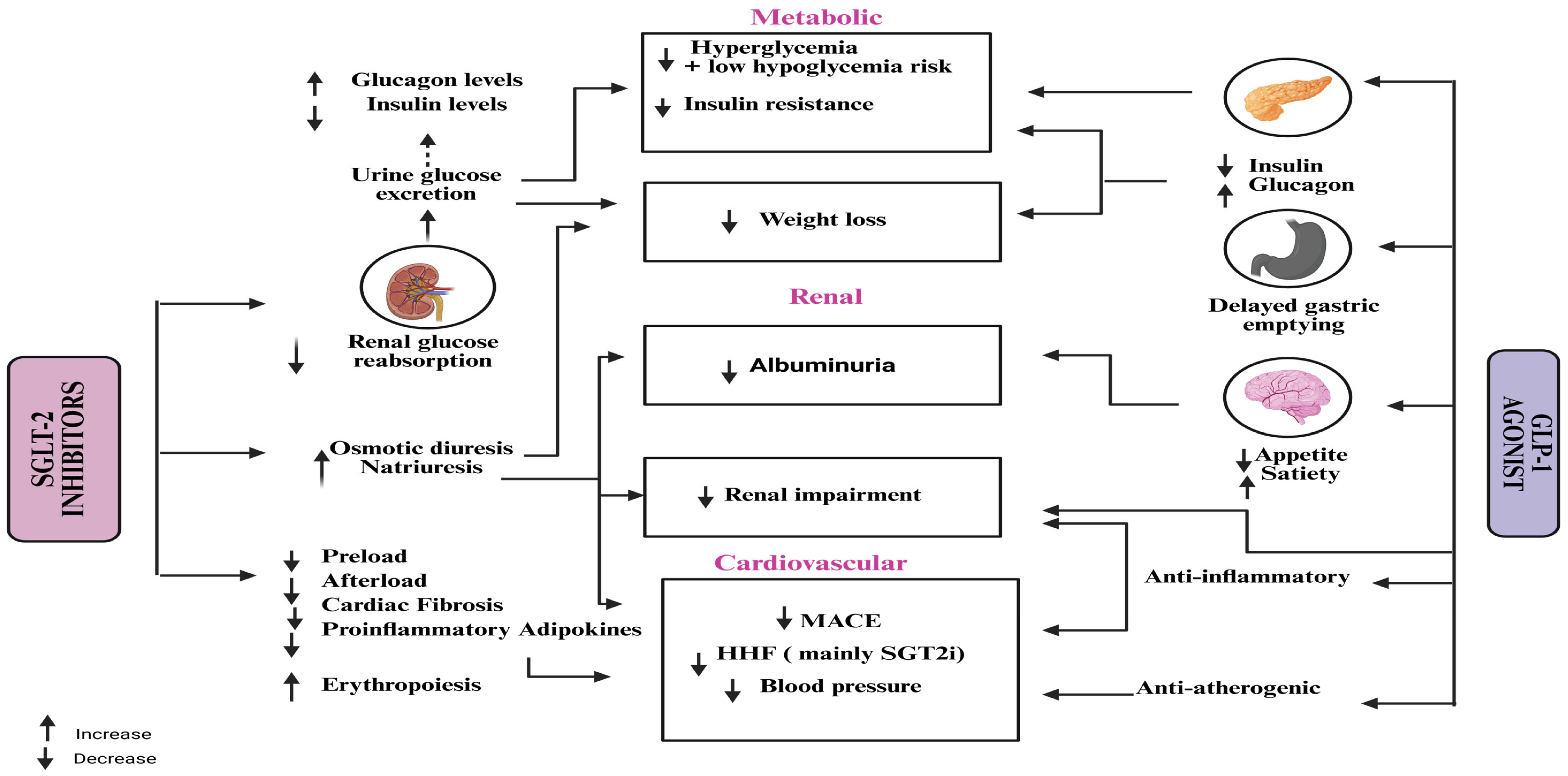 Pharmaceuticals 18 01130 g005