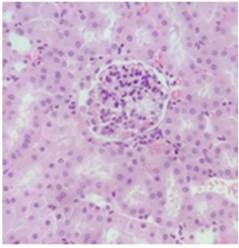 Pharmaceuticals 18 01134 i001 Pharmaceuticals 18 01134 i001