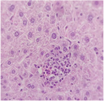 Pharmaceuticals 18 01134 i005 Pharmaceuticals 18 01134 i005