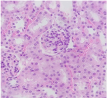 Pharmaceuticals 18 01134 i007 Pharmaceuticals 18 01134 i007