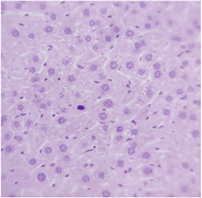 Pharmaceuticals 18 01134 i008 Pharmaceuticals 18 01134 i008