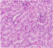 Pharmaceuticals 18 01134 i010 Pharmaceuticals 18 01134 i010