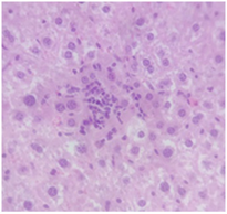 Pharmaceuticals 18 01134 i011 Pharmaceuticals 18 01134 i011